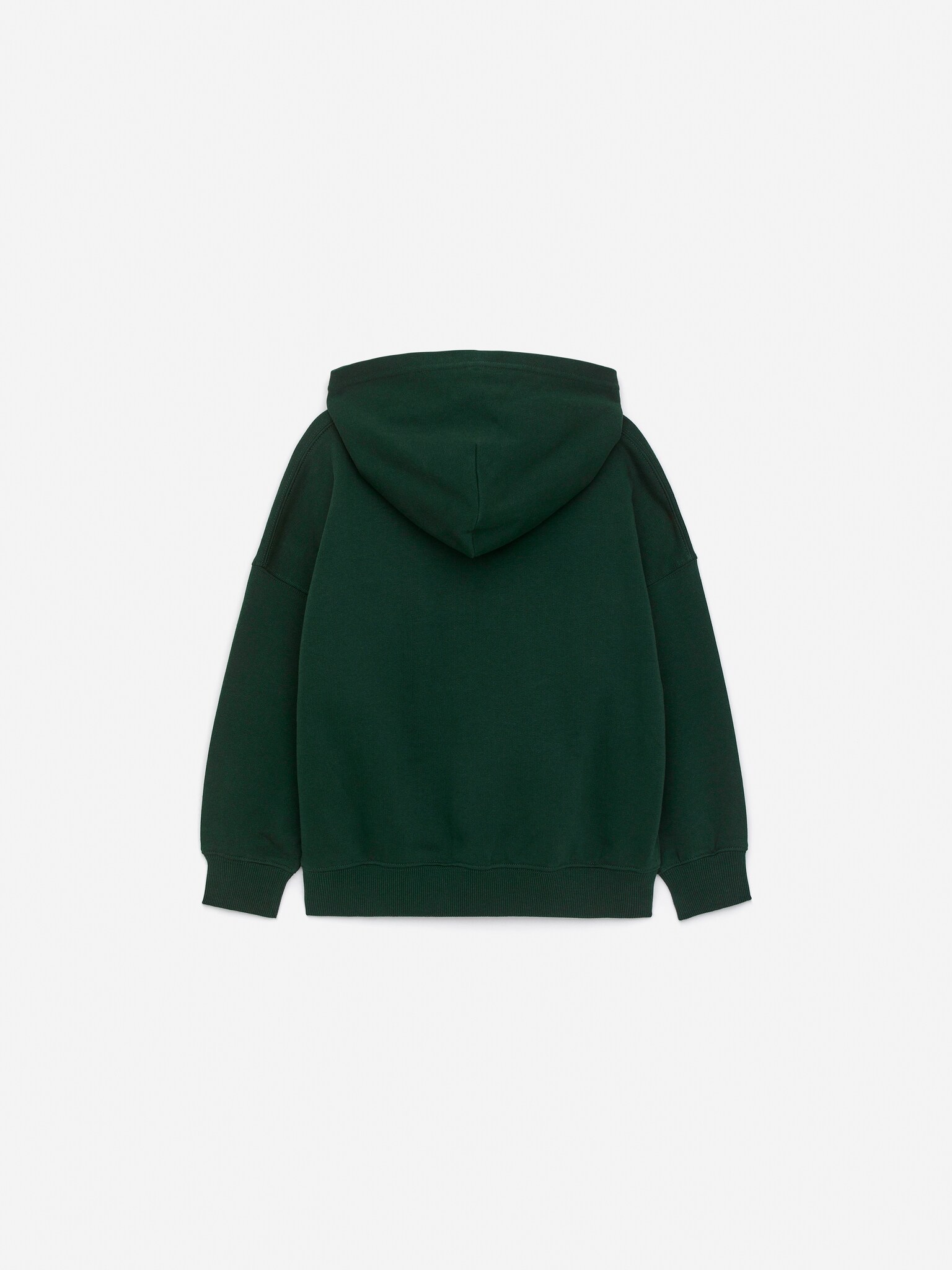 Heavyweight Hooded Sweatshirt - Dark Green/Bright Blue/Green/Dark Blue - 2