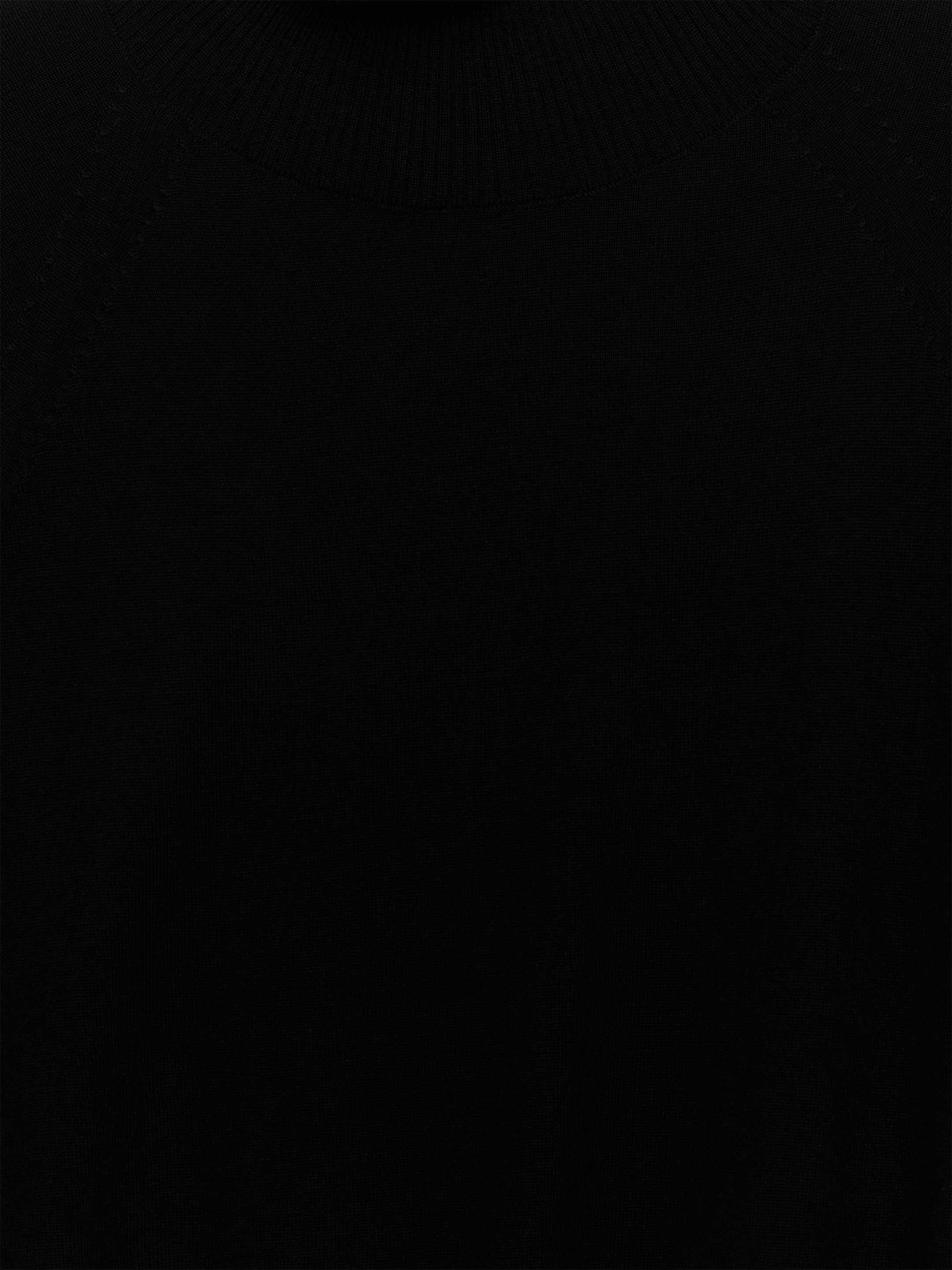 Größeres Bild ansehen: Rollkragenpullover aus Nativa-Merinowolle - Schwarz - Ladies | H&M DE 6