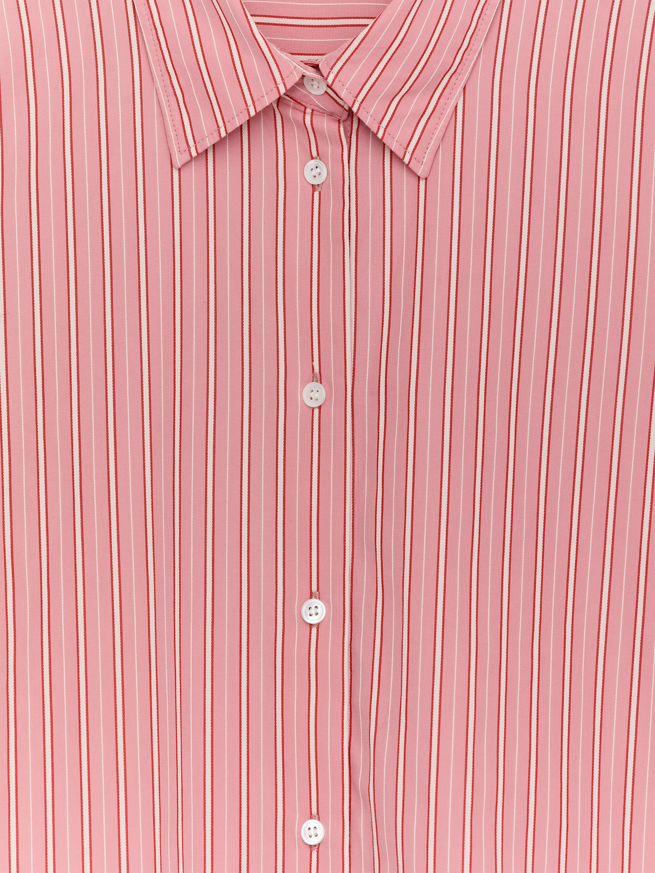 Baumwollhemd - Rosa/Weiß - Regular Fit - Damen - StillMedia/DescriptiveStillLife - 1