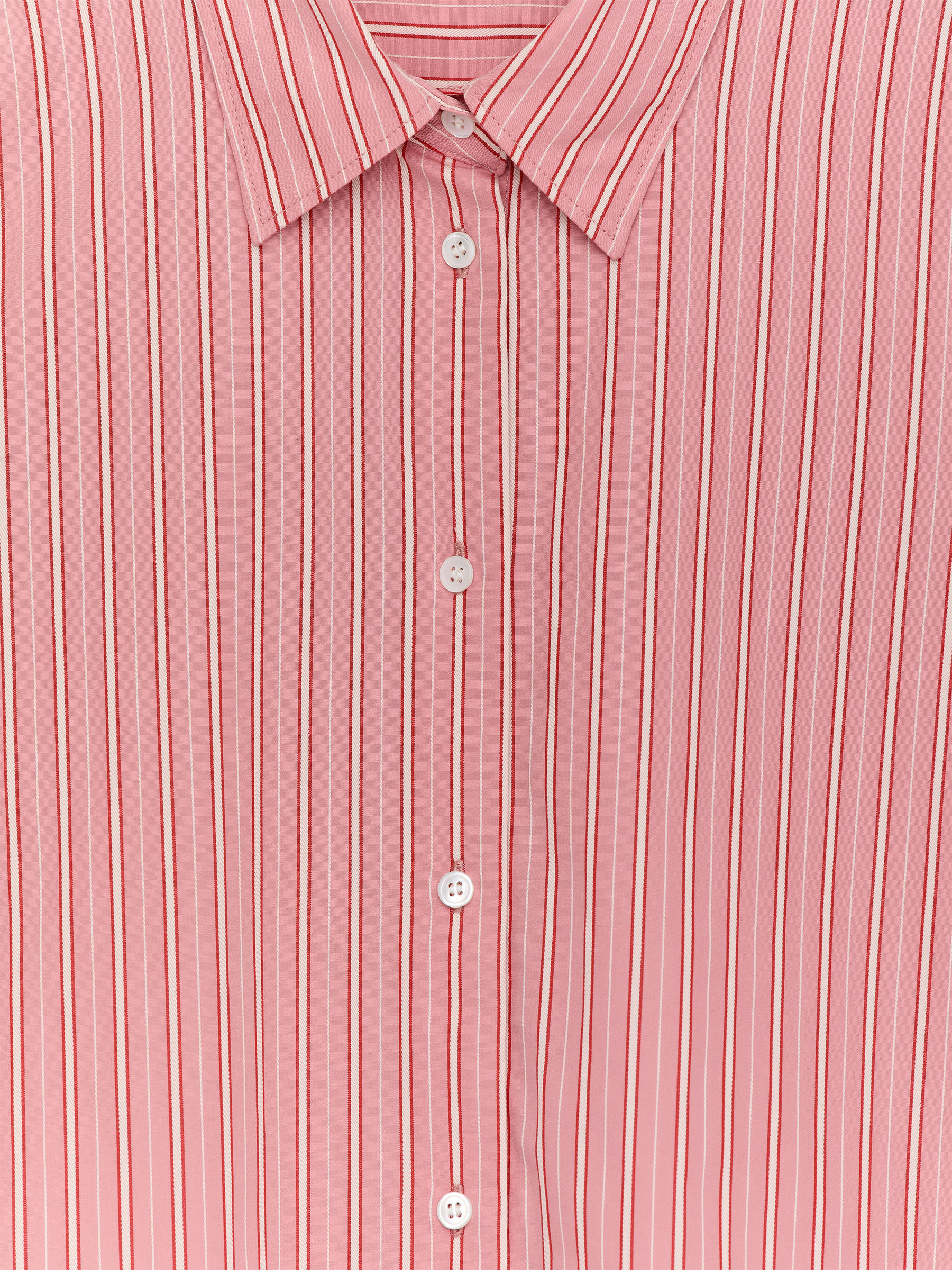 Cotton Shirt - Pink/White - Regular fit - Women - StillMedia/DescriptiveStillLife - 1