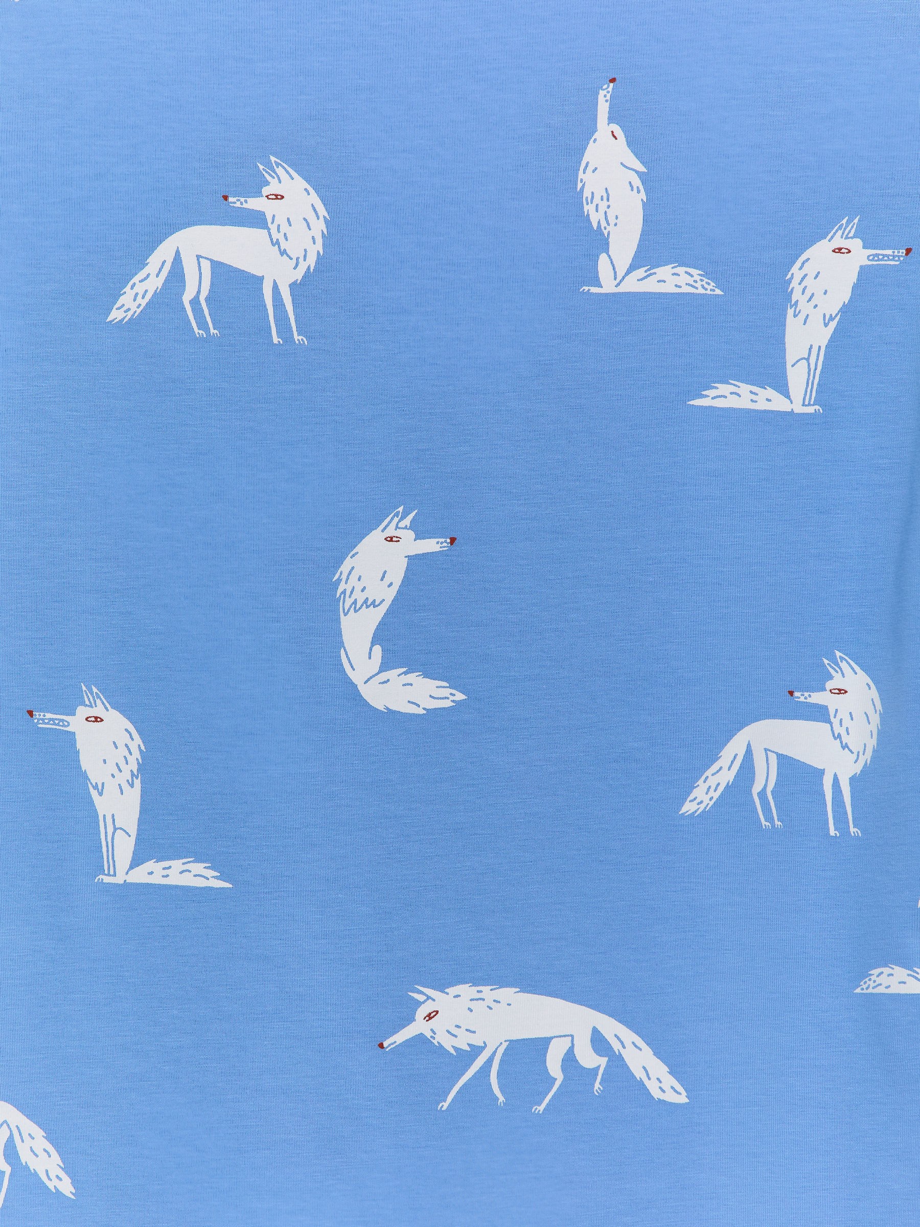 Conjunto de pijama de punto - Azul/lobos - Corte estándar - Children - StillMedia/DescriptiveDetail - 5