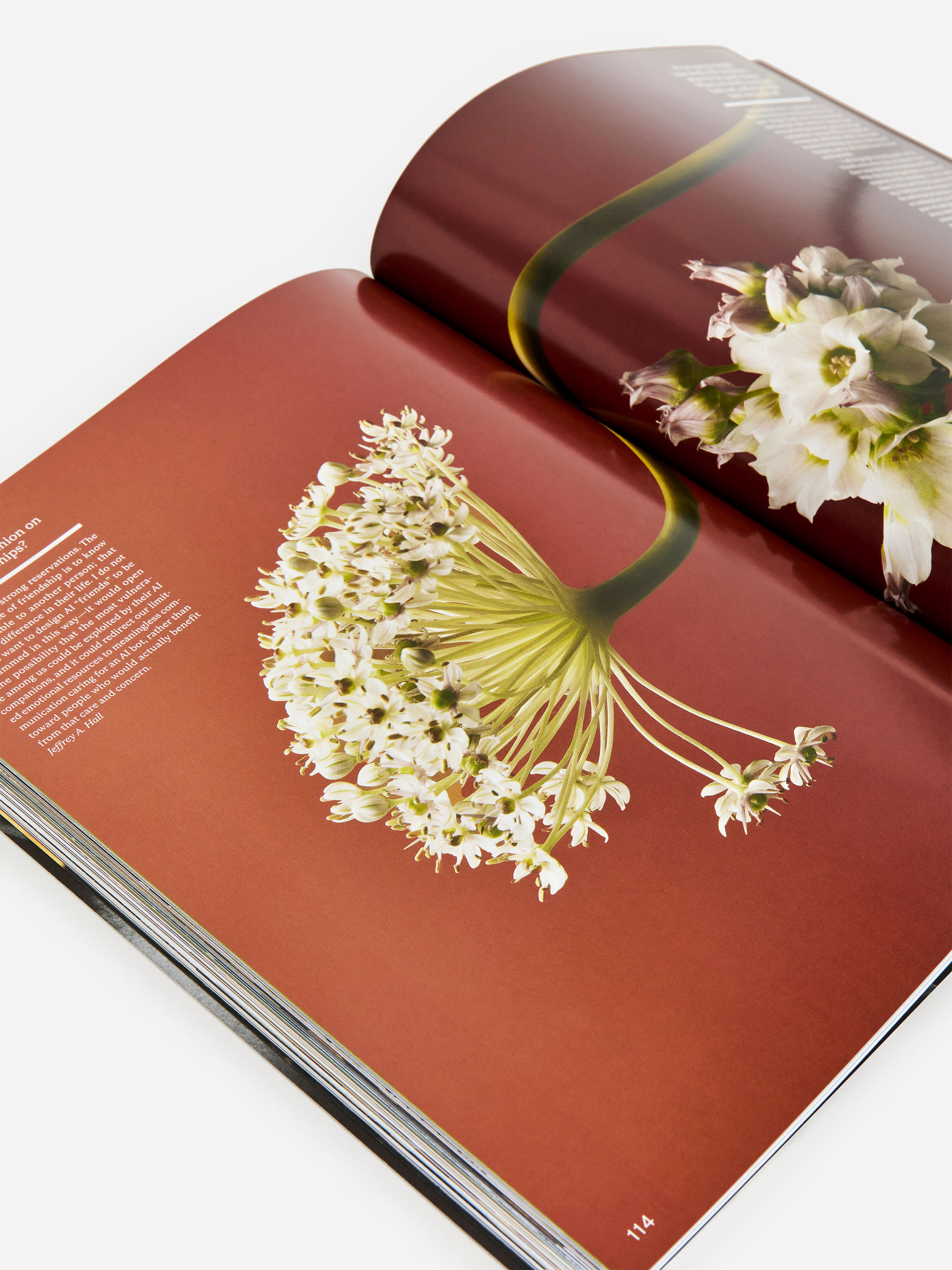 Kinfolk Issue 57 - White - Homeware - StillMedia/DescriptiveDetail - 1