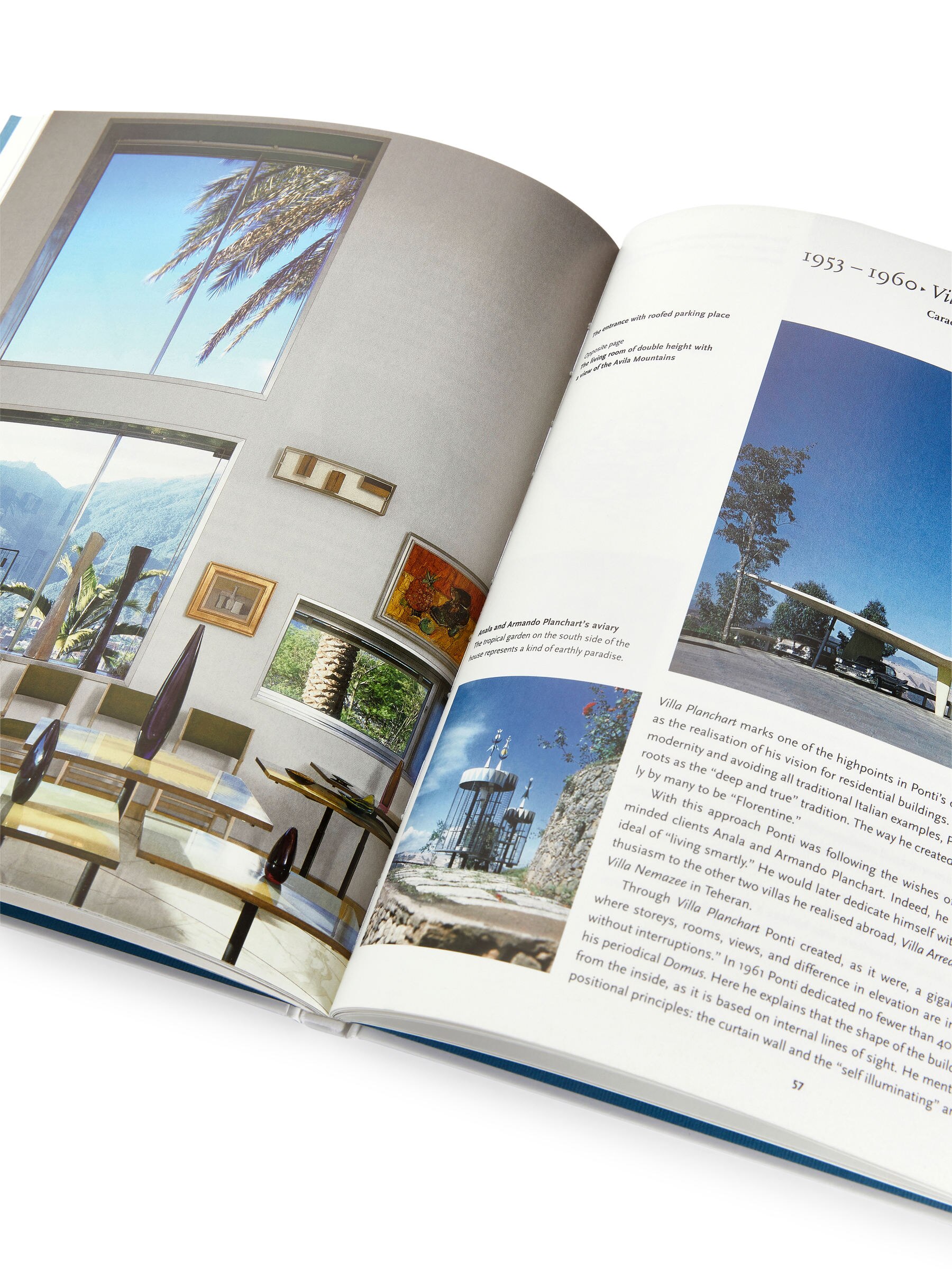 Gio Ponti - Weiß/Blau - Haushaltswaren - StillMedia/DescriptiveStillLife - 3