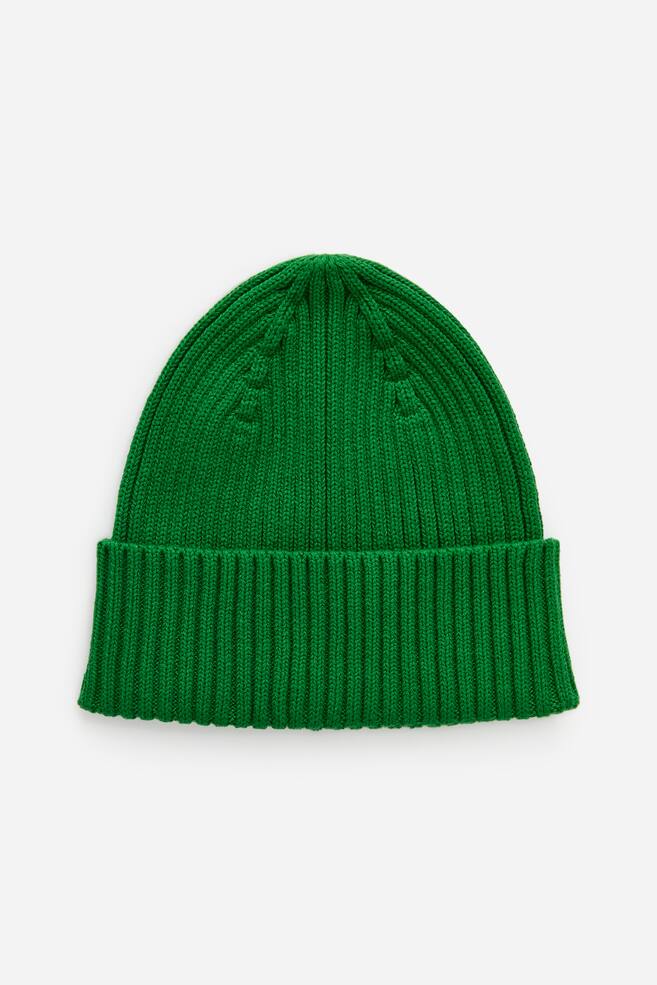 A green beanie is being displayed from the front, featuring a chunky, ribbed knit construction and a wide, folded brim. - 1