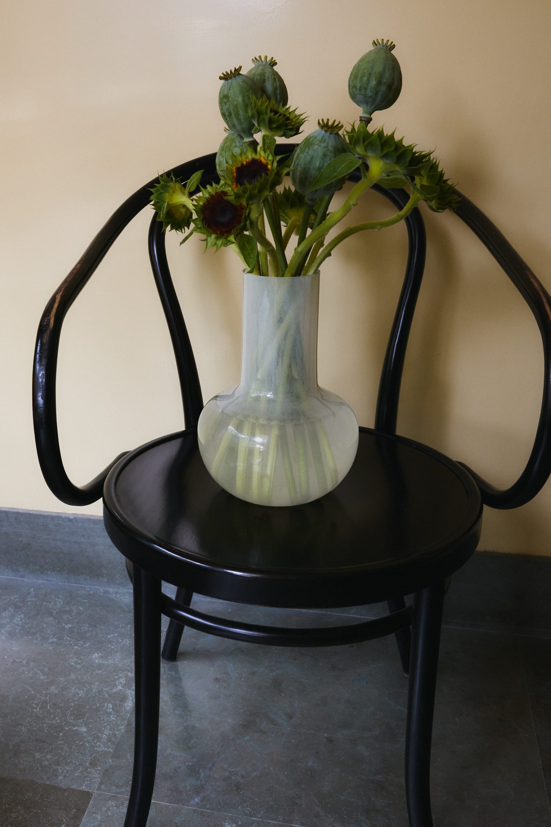Agrandir l'image: Une chaise en bois courbé noire est orientée vers l’avant, légèrement de biais, mettant en valeur son dossier et ses accoudoirs formant une seule boucle courbe continue. Son assise circulaire accueille un vase de couleur claire contenant des fleurs.