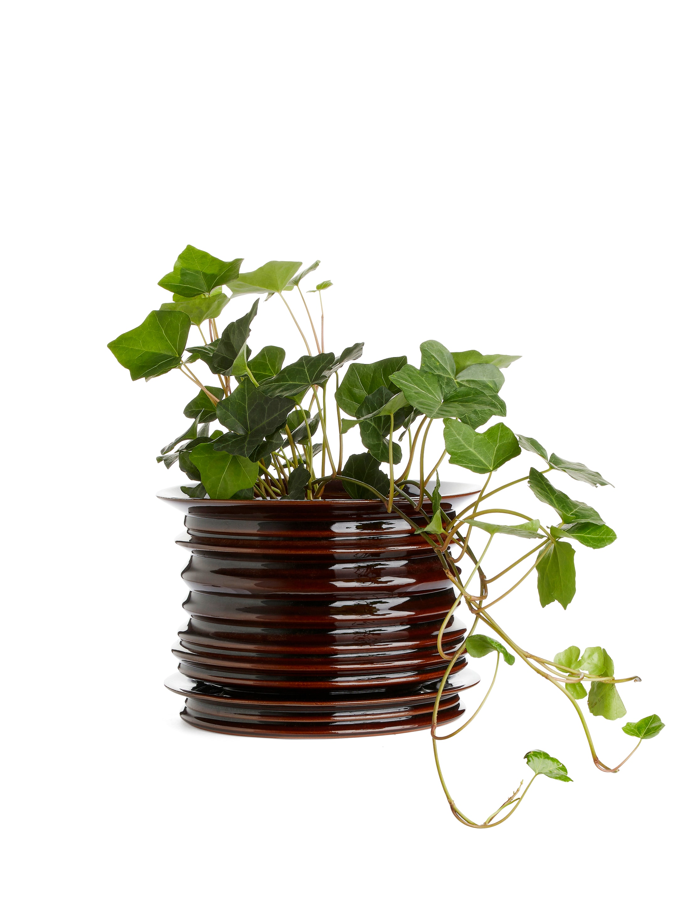 Visualizza immagine più grande: Portavaso in ceramica da 22 cm - Marrone scuro - HOME | H&M IT 2