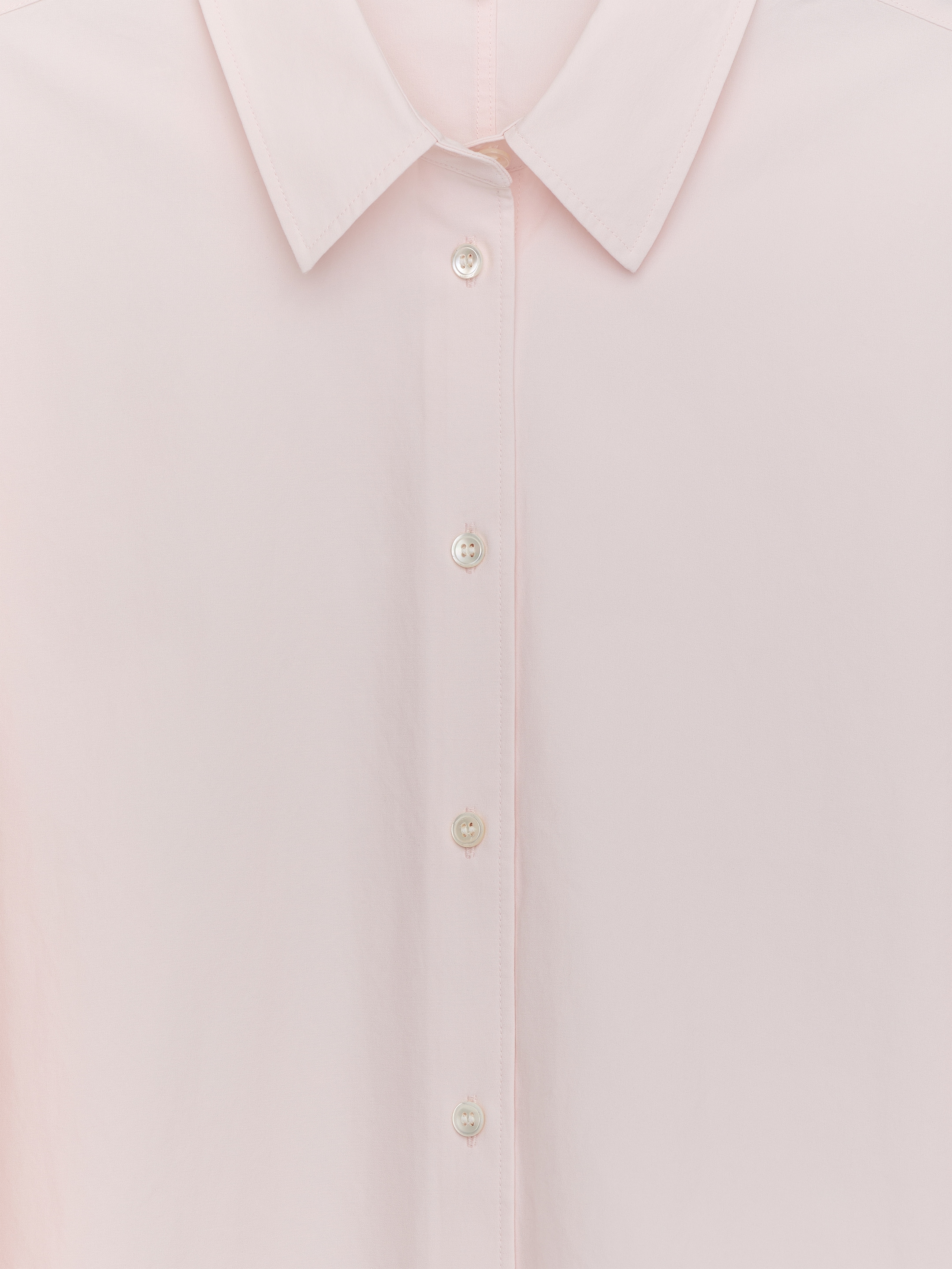 Visualizza immagine più grande: Una camicia rosa chiaro presenta un colletto a punta e una pattina frontale con bottoni. Bottoni bianchi a quattro fori fissano la pattina.