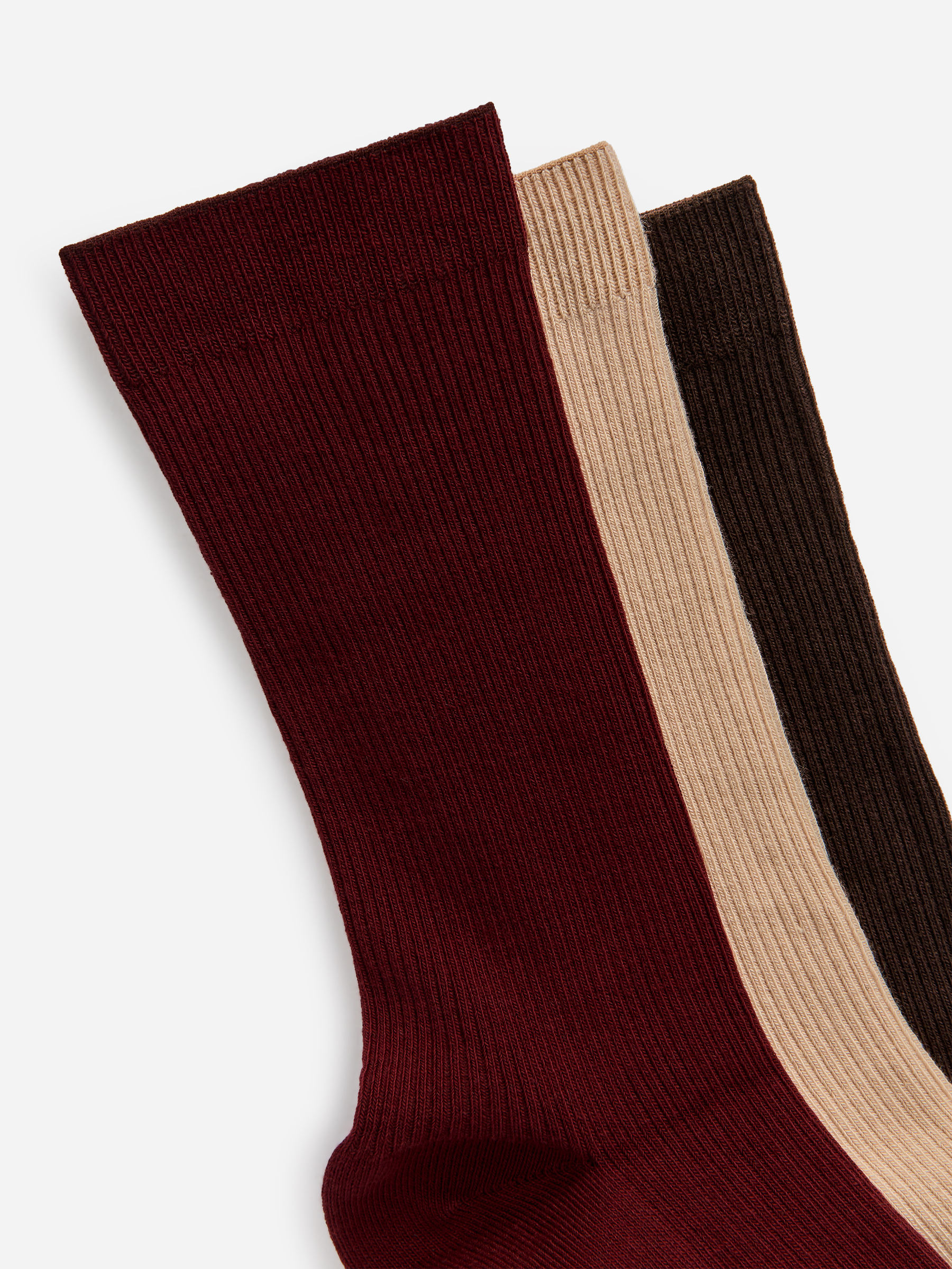 Cotton Rib Socks Set of 3 - Dark Red/Beige/Brown - Women - StillMedia/DescriptiveDetail - 3