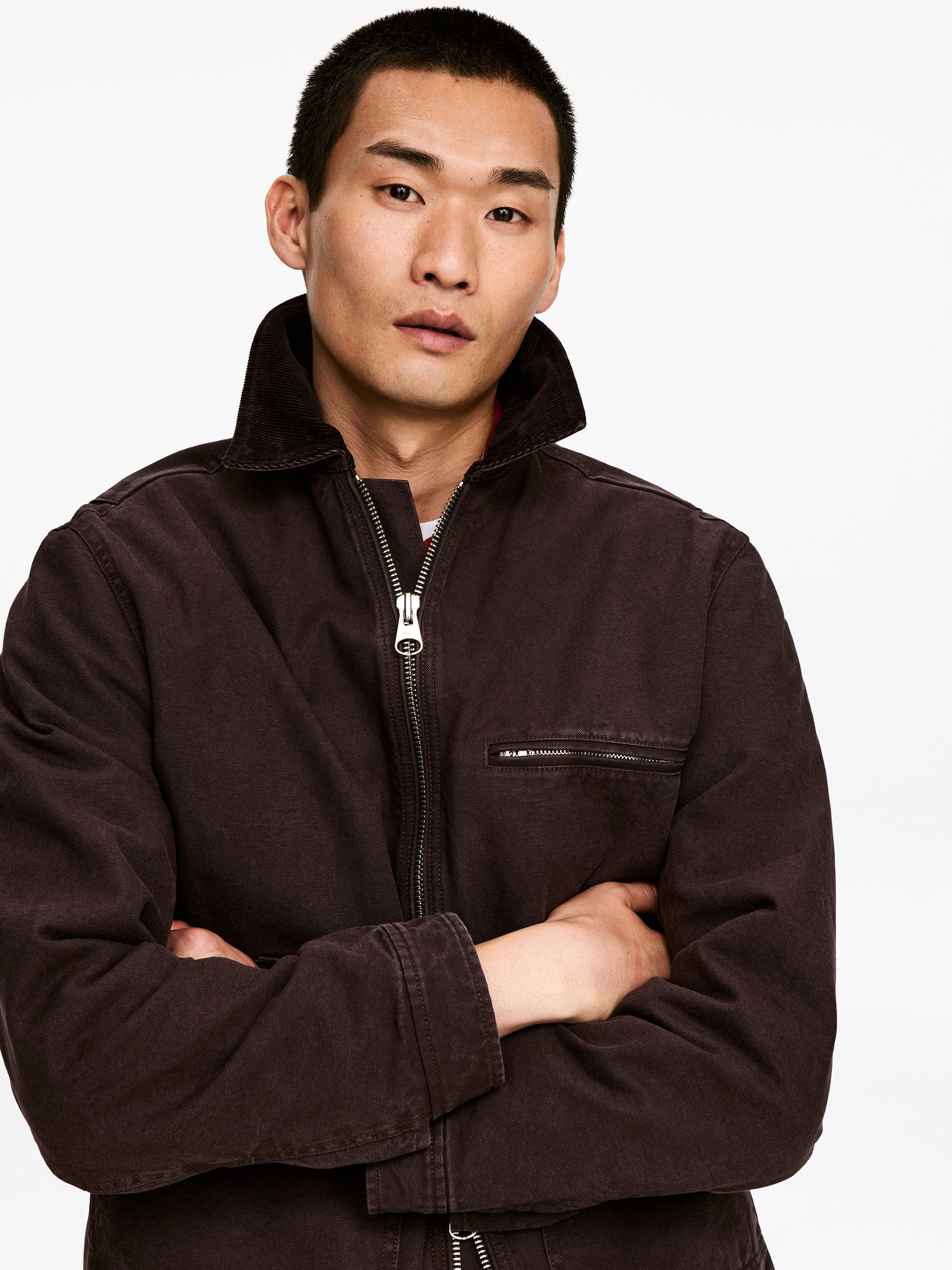 Cotton Canvas Jacket - Brown - Regular fit - Men - StillMedia/Lookbook - 8
