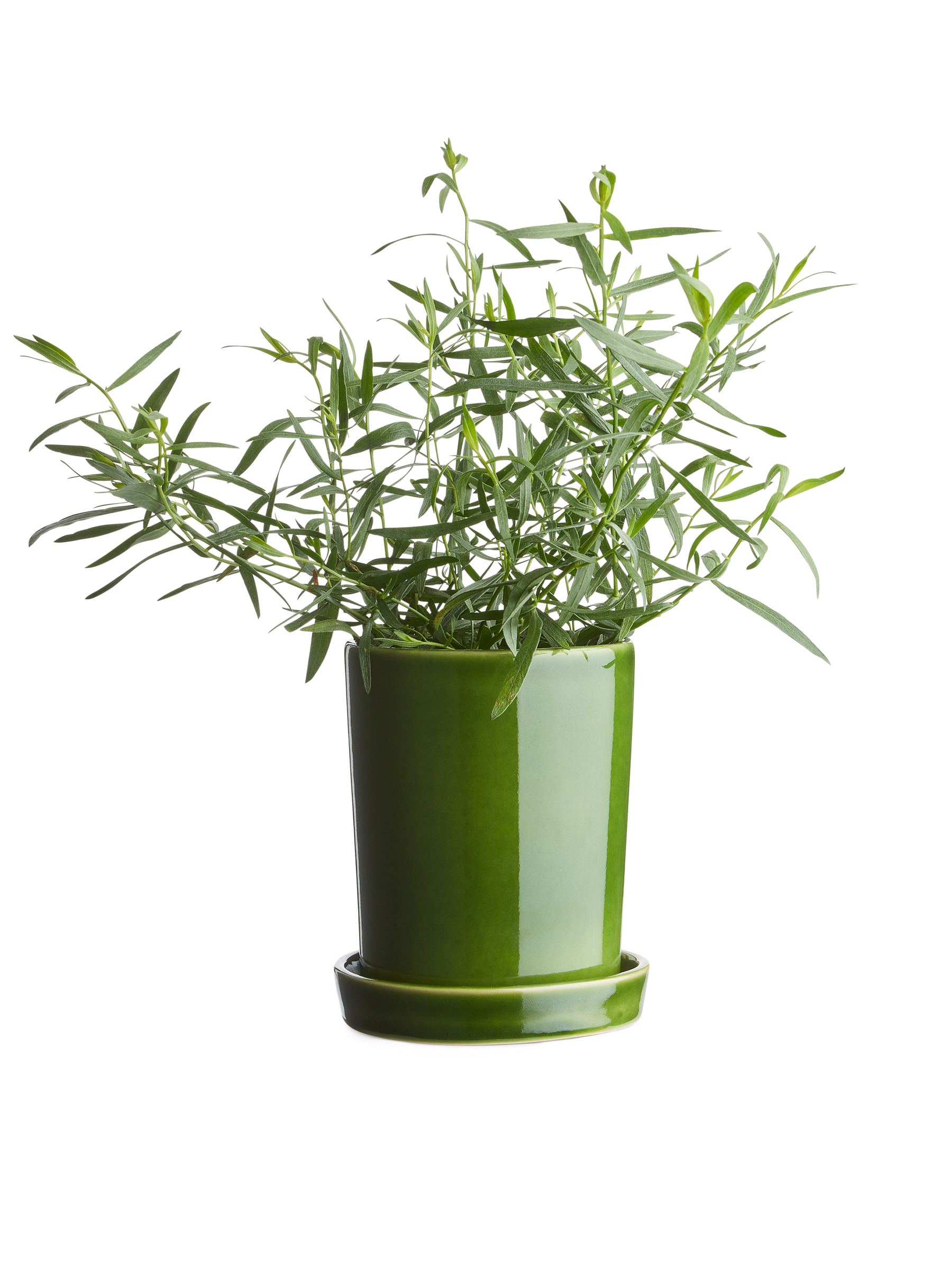 Macetero de gres 12 cm - Verde - Homeware - StillMedia/CreativeStillLife - 2