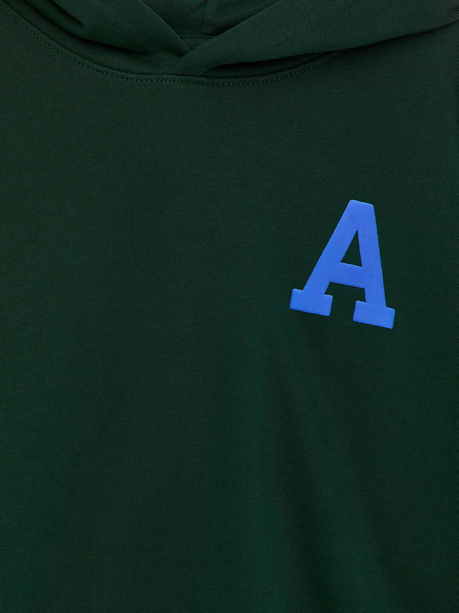 Heavyweight Hooded Sweatshirt - Dark Green/Bright Blue/Green/Dark Blue - 3