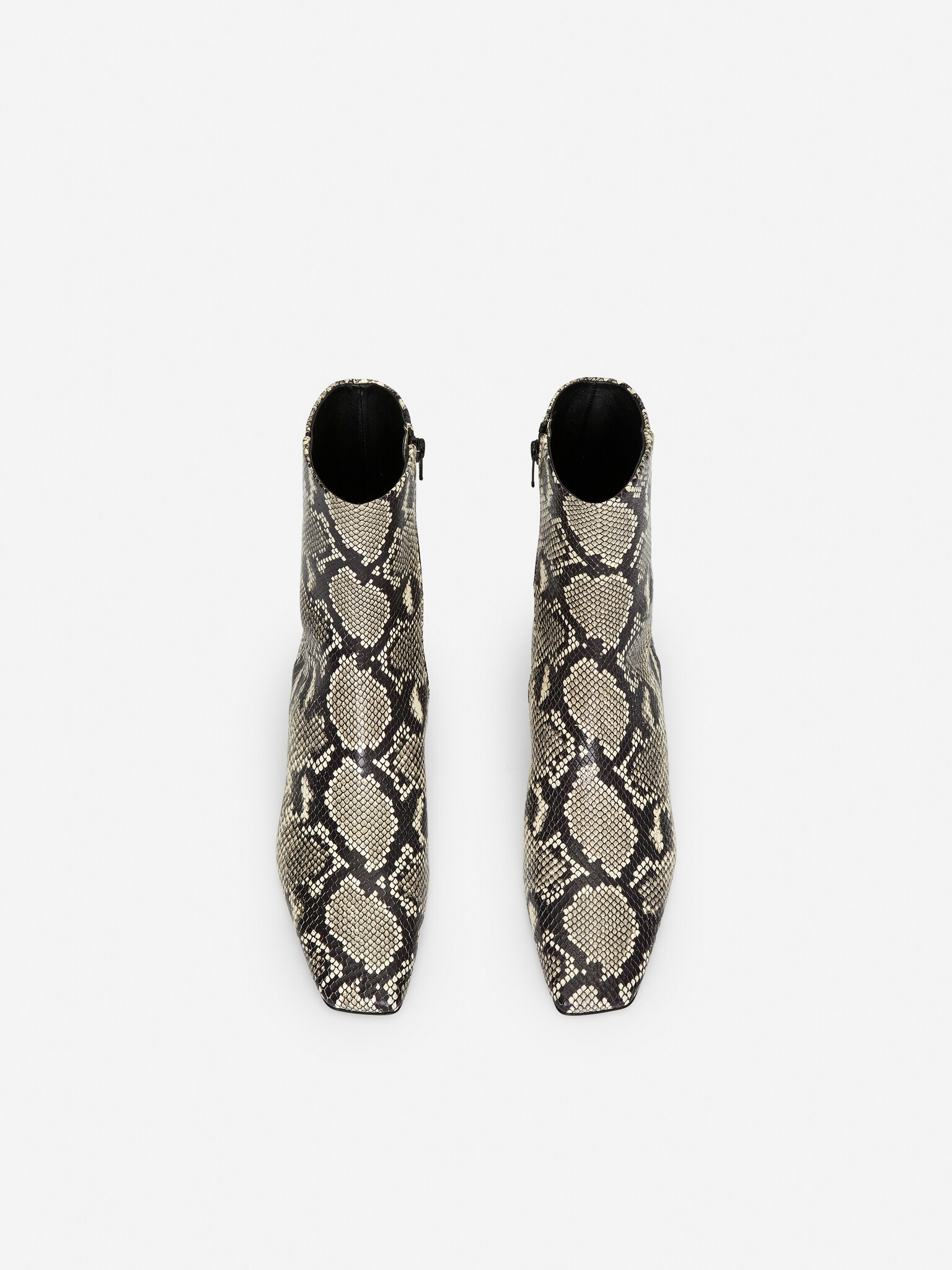 Bottines à bouts carrés - Serpent - 5