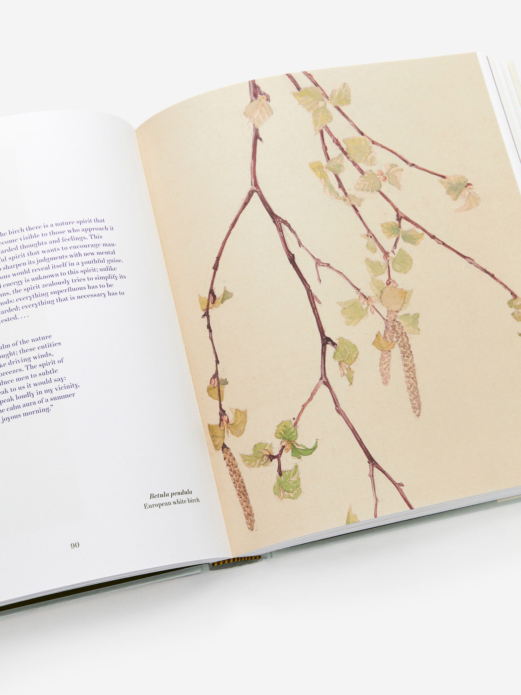 Hilma af Klint: What Stands Behind the Flowers - Bianco sporco - Homeware - StillMedia/DescriptiveDetail - 2