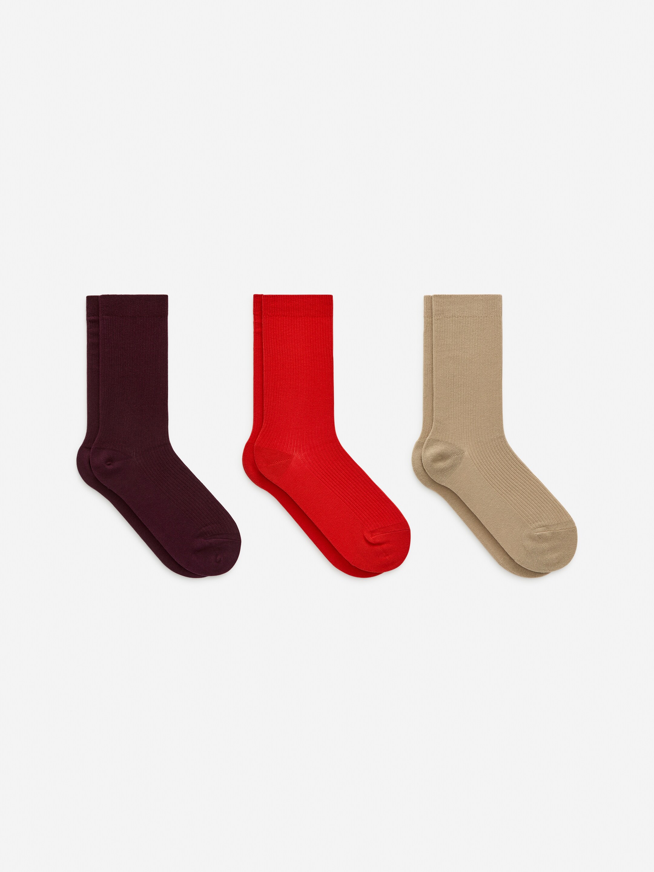 Cotton Rib Socks Set of 3 - Plum/Red/Beige - Women - StillMedia/DescriptiveStillLife - 1