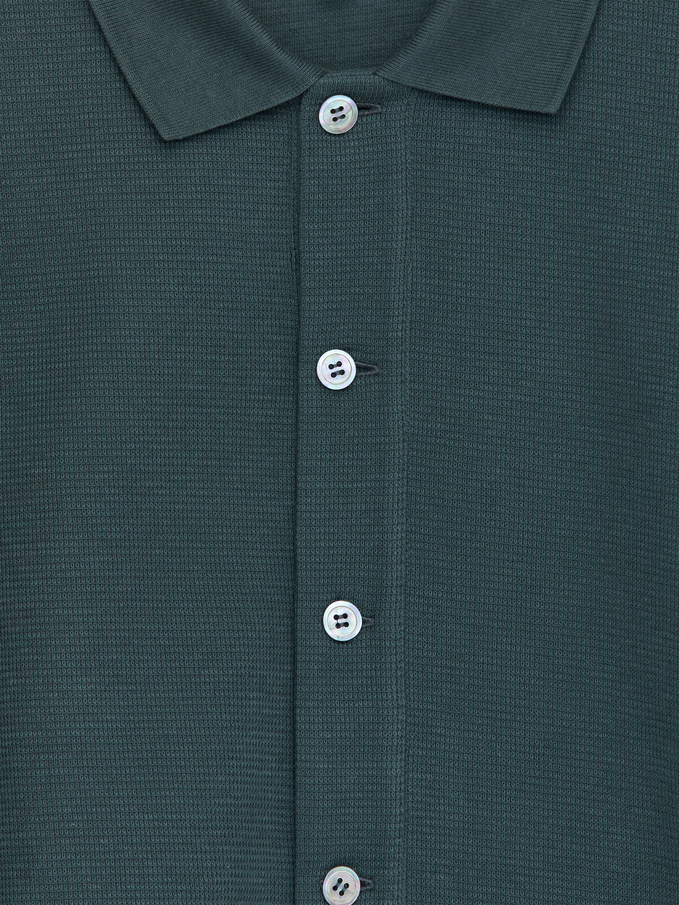 Strickjacke aus Baumwolljersey - Grün - Regular Fit - Herren - StillMedia/DescriptiveDetail - 1