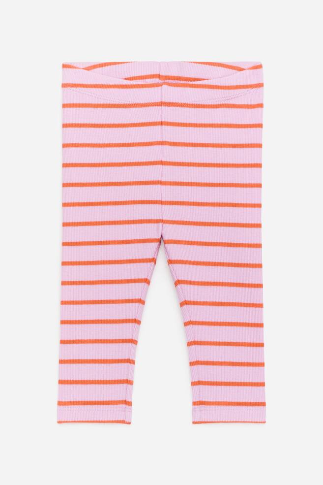 Ribbed Leggings - Pink/Orange/Blue/Green/Light Blue/Green/Pink/Red/Rust/Blue Polkadot/Beige/Black/Dark Green/Pink/Oranges - 1