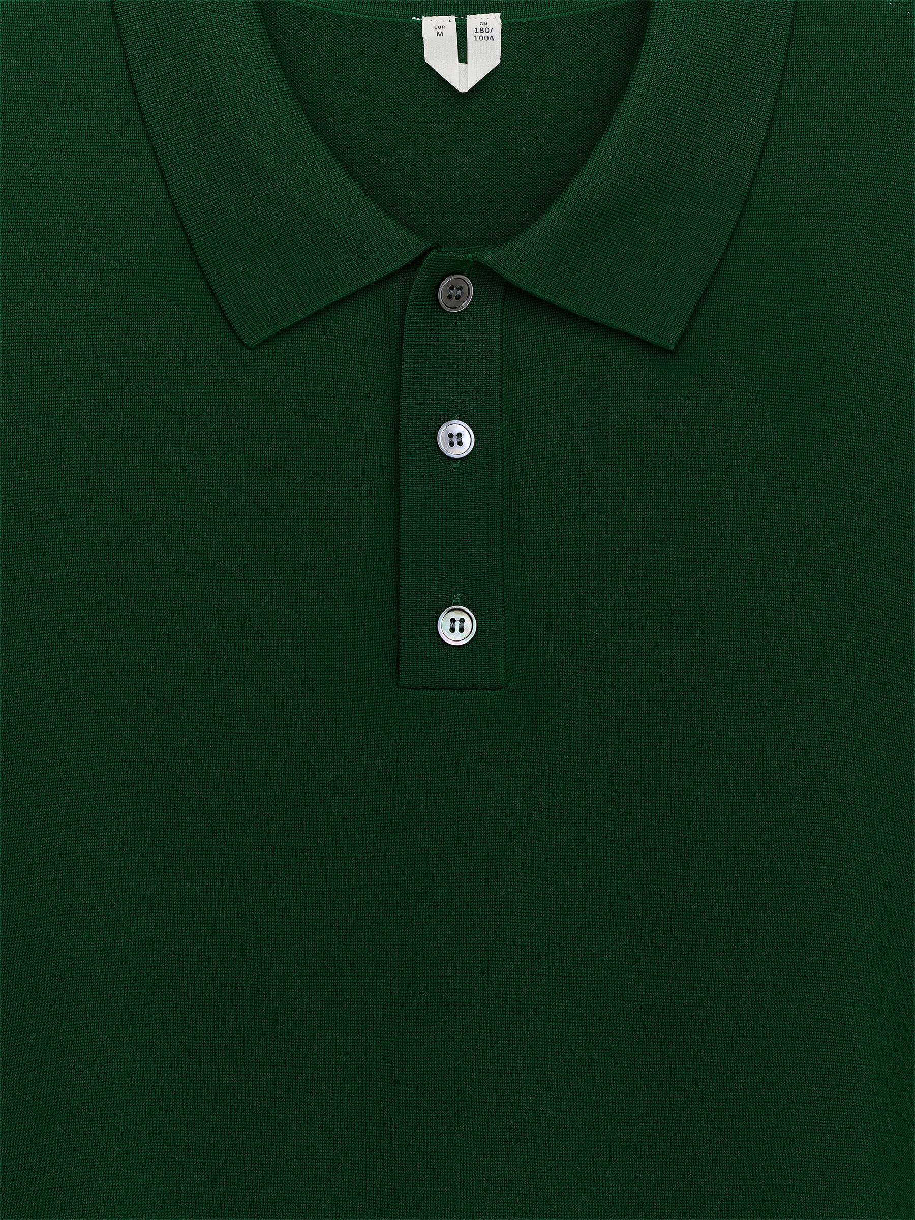 Polo en laine mérinos - Vert - Regular fit - Homme - StillMedia/DescriptiveStillLife - 1
