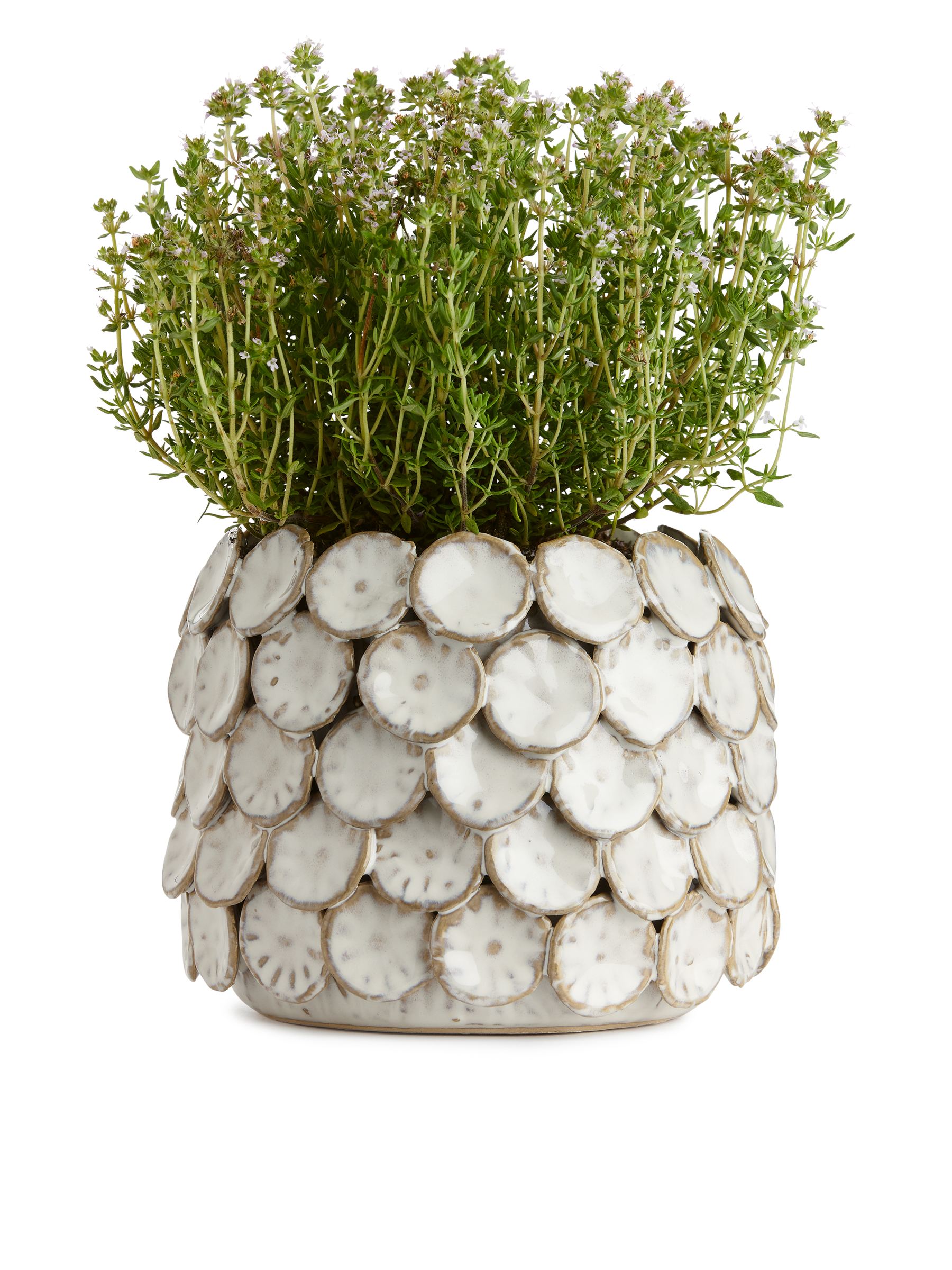 House Doctor Dot Vase - White - Homeware - StillMedia/DescriptiveDetail - 1