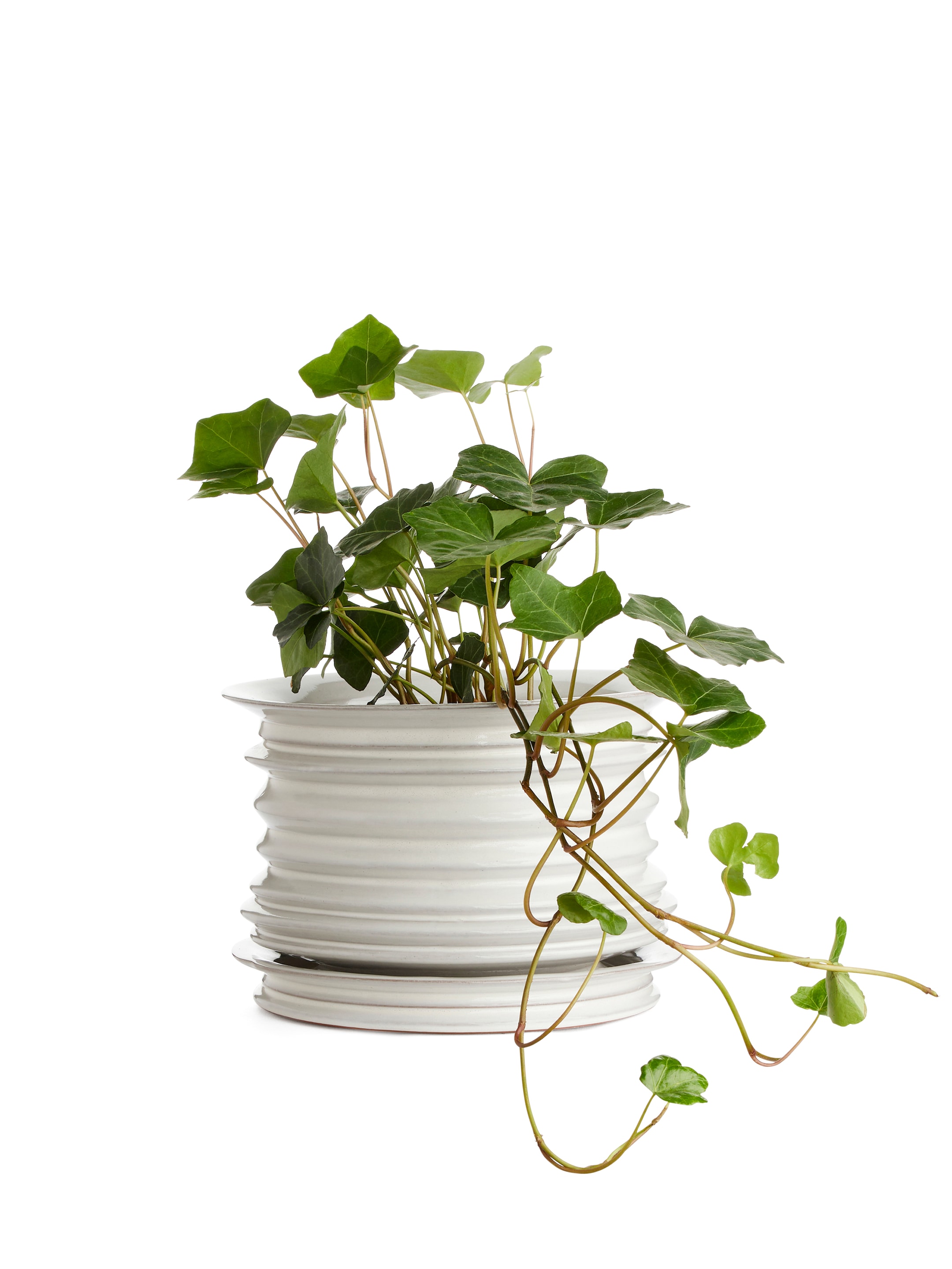 Visa större bild: Kruka i keramik, 22 cm - Vit - Home All | H&M SE 2