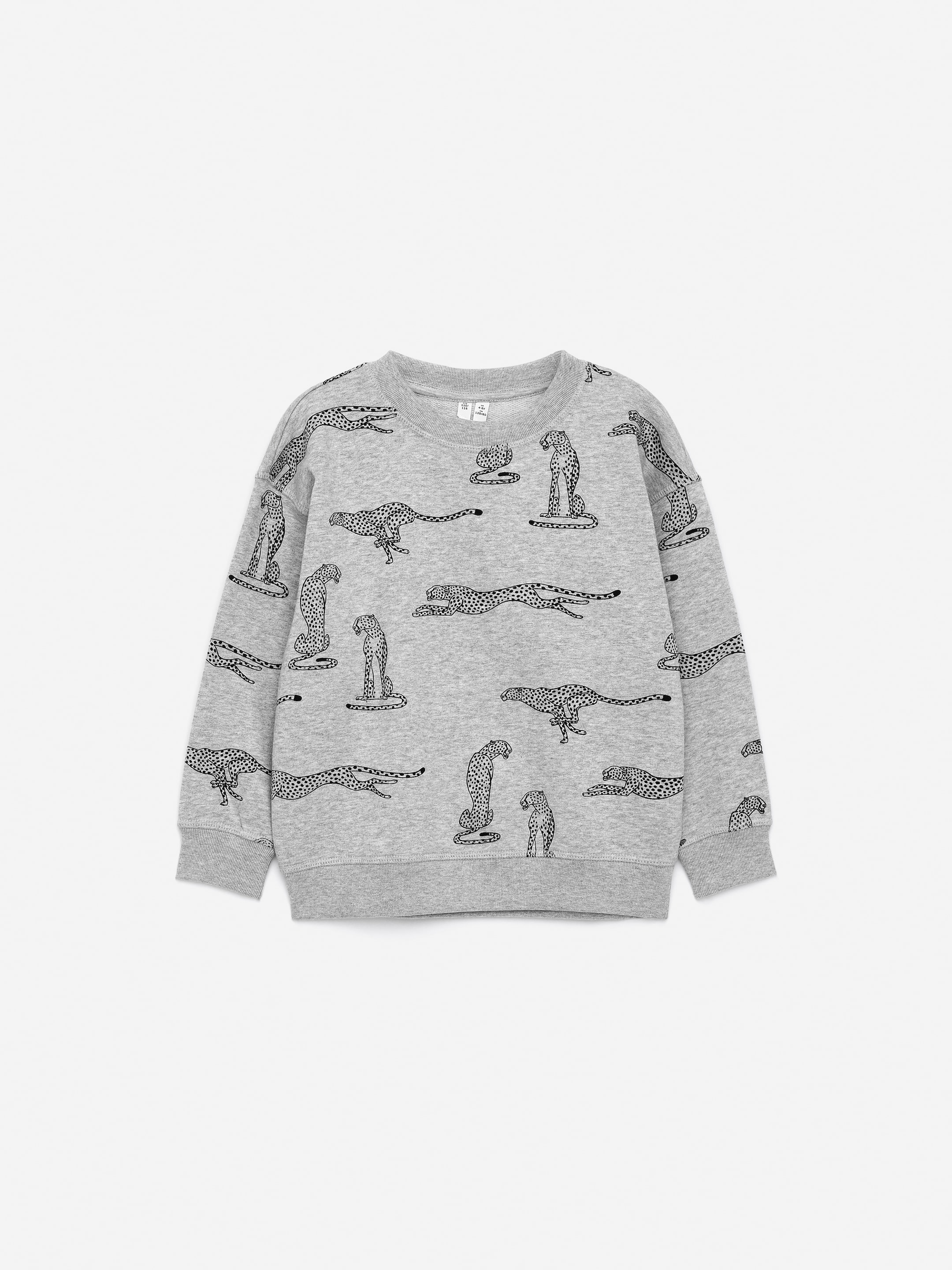 Visa större bild: Sweatshirt - Grå/gepard - BARN | H&M FI 1
