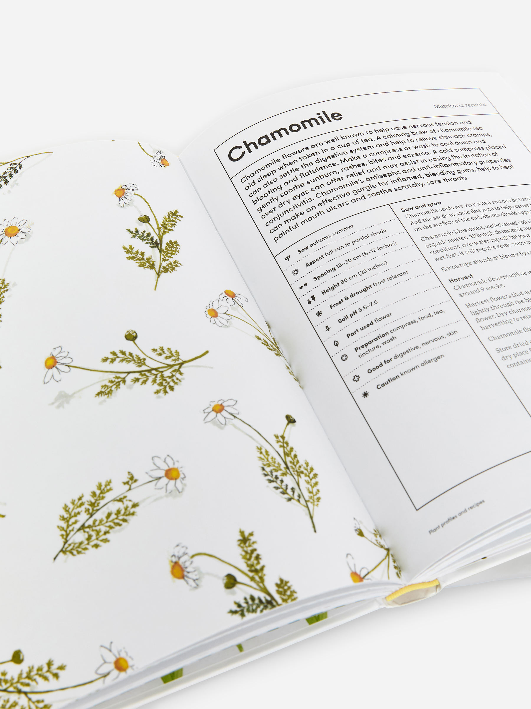 The Medicinal Garden - Biały - Homeware - StillMedia/DescriptiveDetail - 1