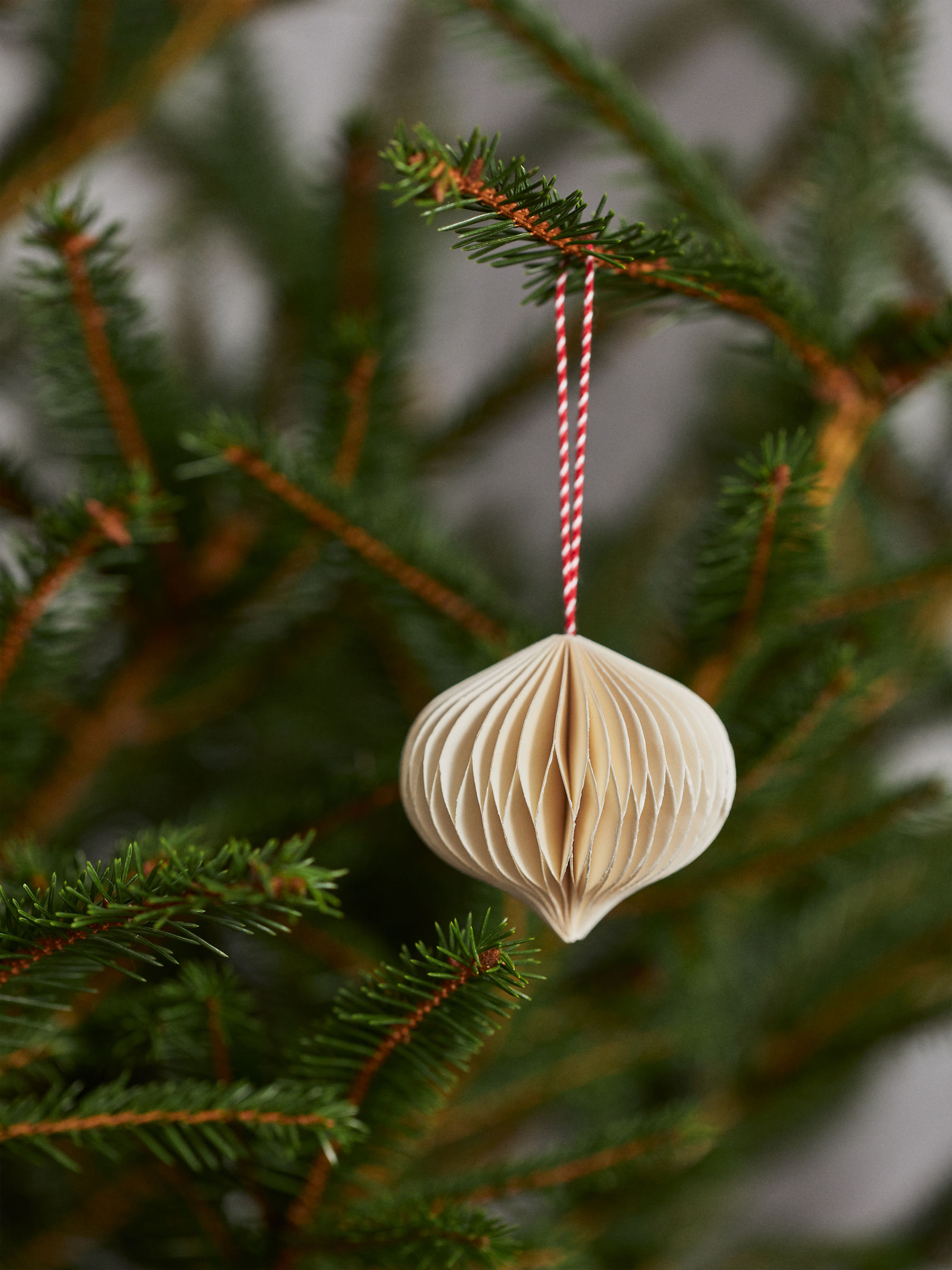 Honeycomb Ornaments Set of 2 - White - Homeware - StillMedia/DescriptiveStillLife - 2
