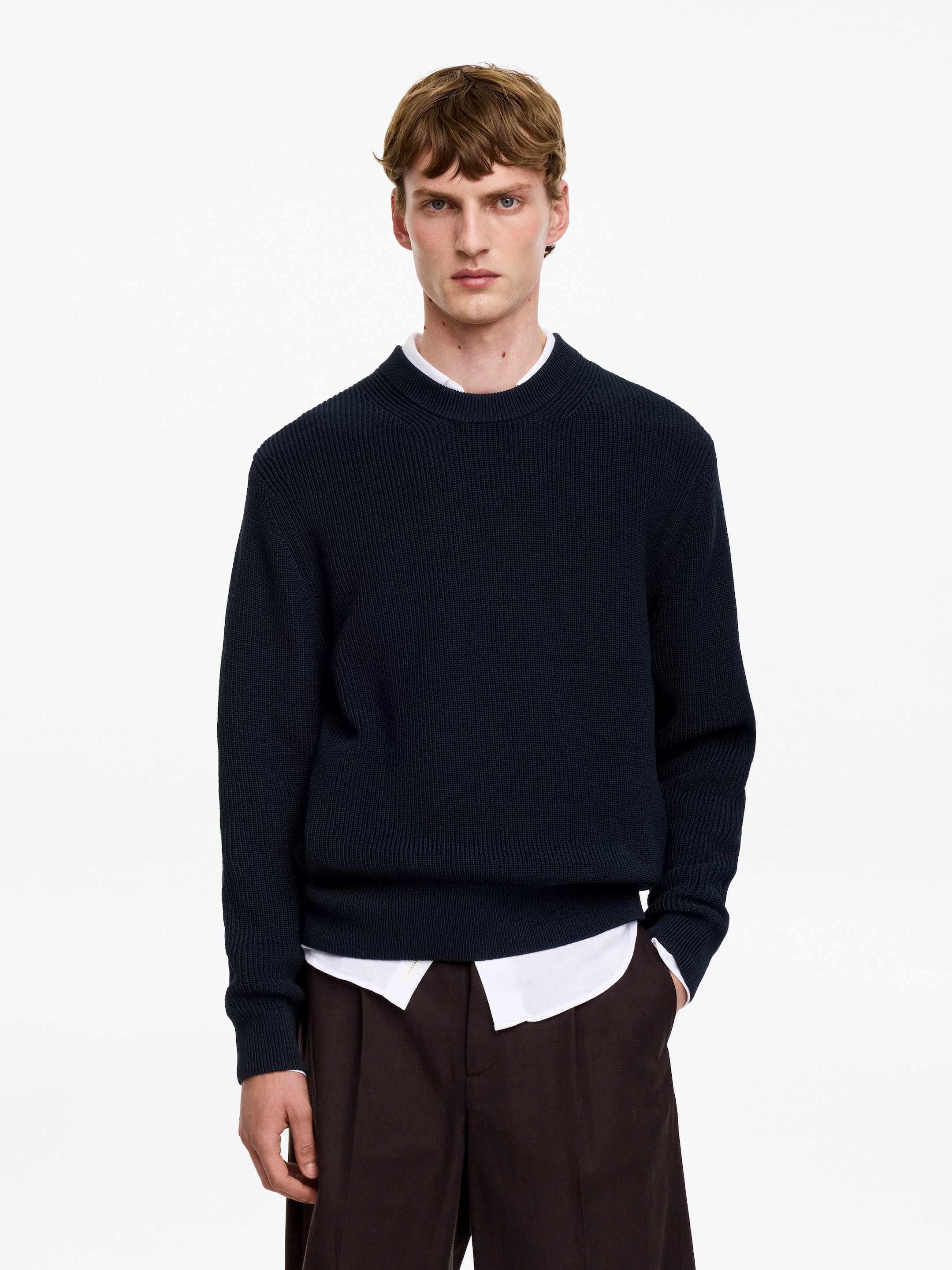 Maglione girocollo in cotone-Blue-19501