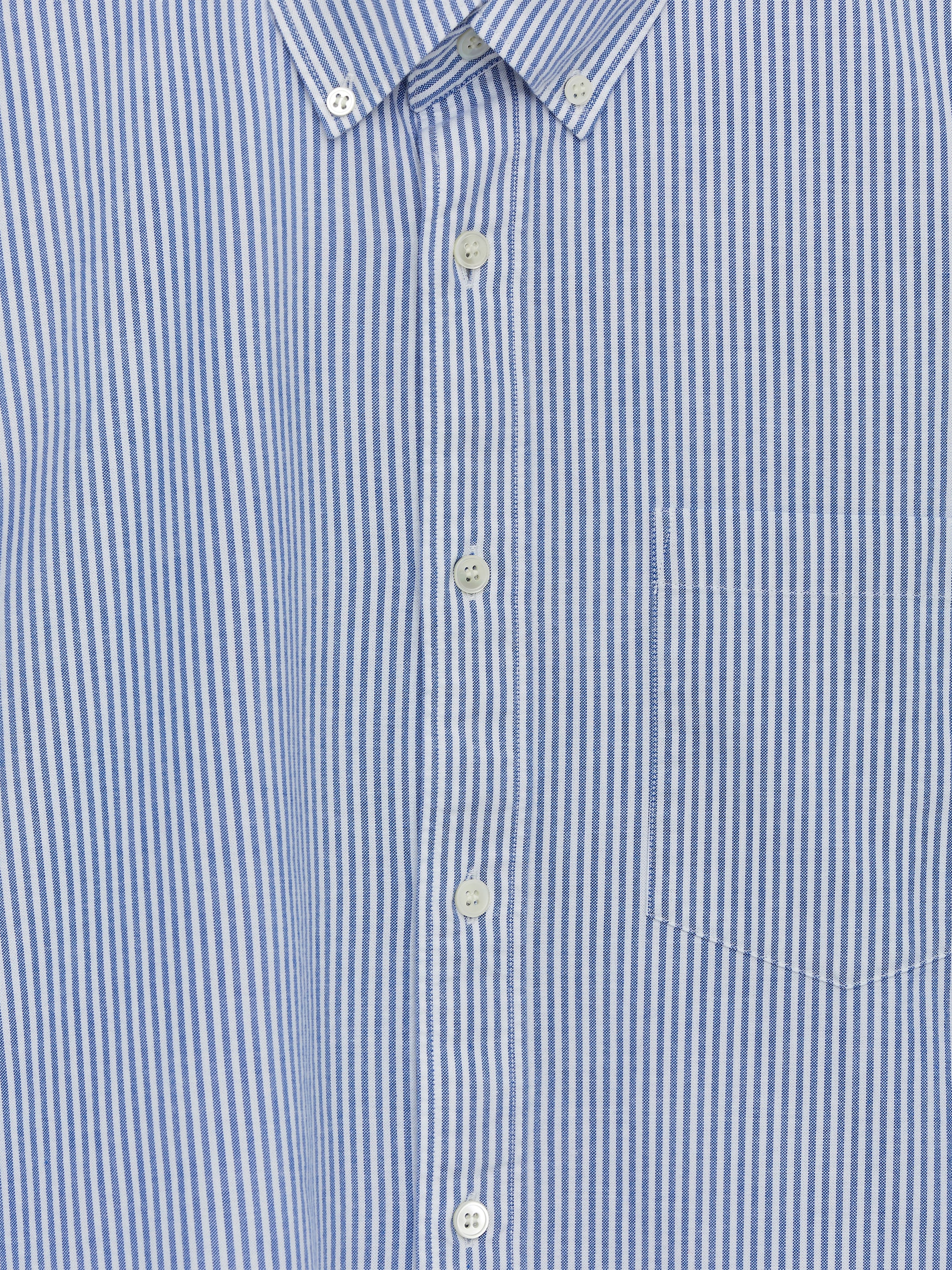 Koszula oxford o standardowym kroju - Niebieski/Paski - Fason normalny - Men - StillMedia/DescriptiveDetail - 42
