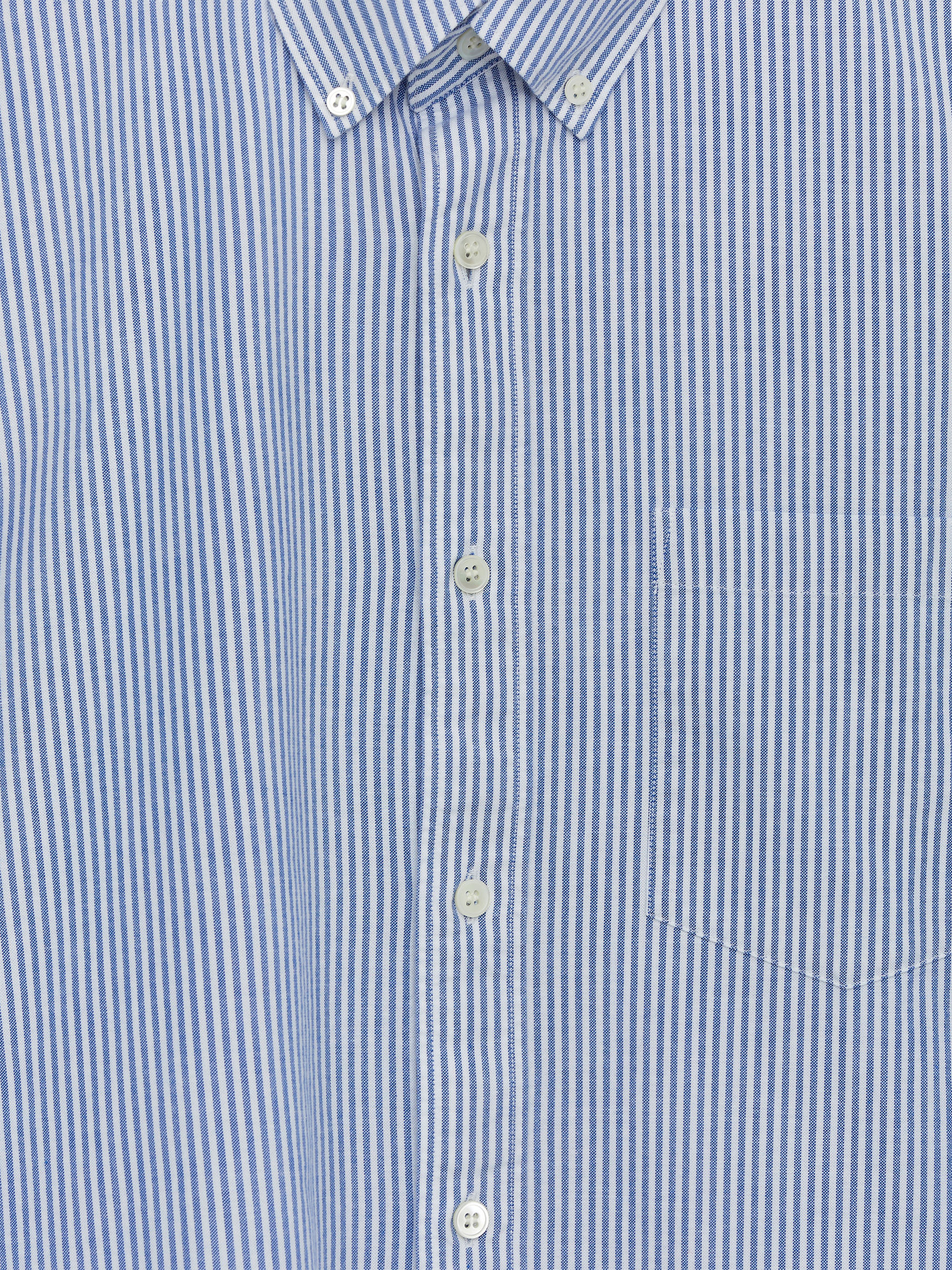 Chemise Oxford - Bleu/rayé - Regular fit - Homme - StillMedia/DescriptiveDetail - 42