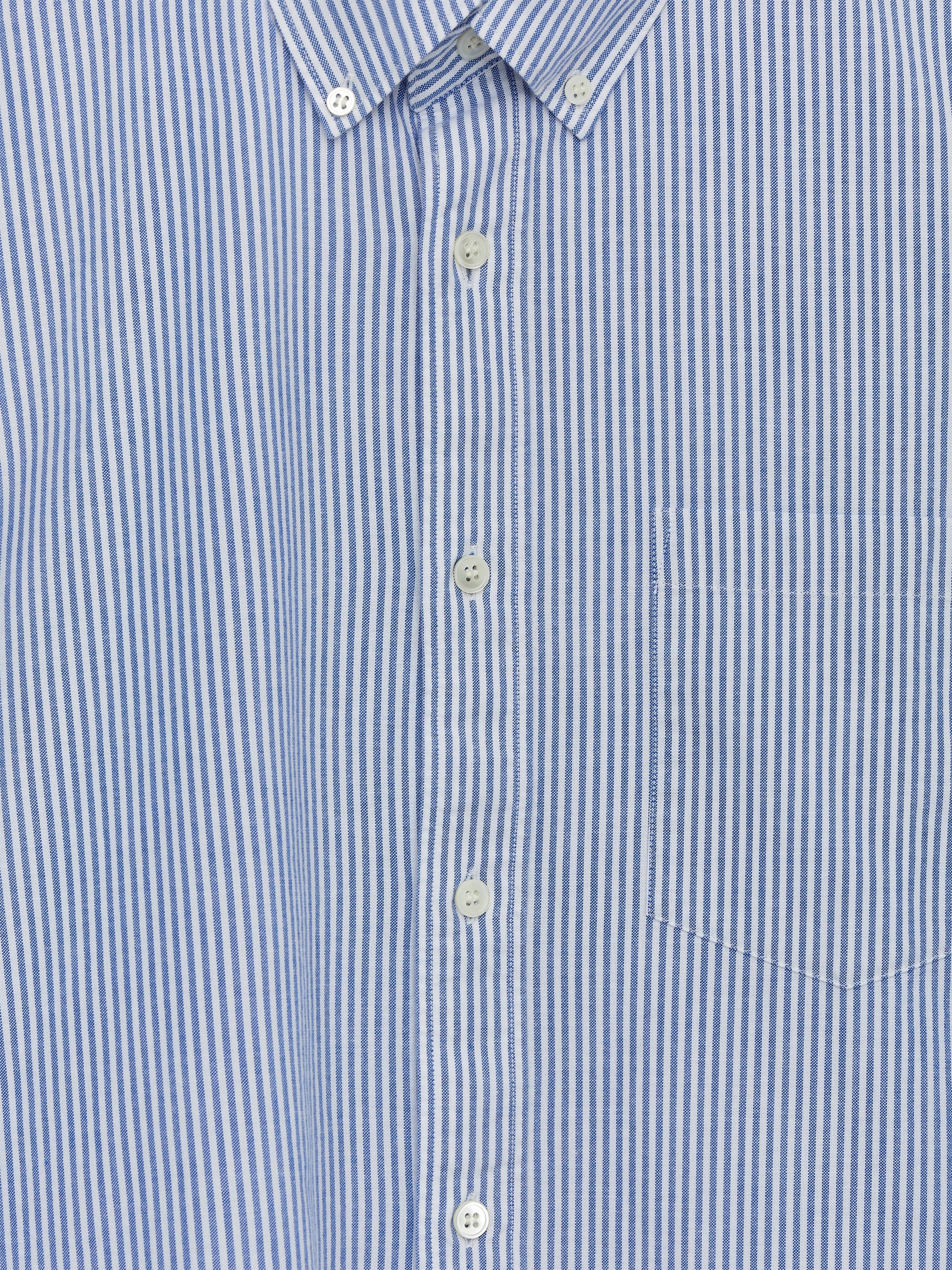 Oxford Shirt - Blue/Striped - Regular fit - Men - StillMedia/DescriptiveDetail - 42