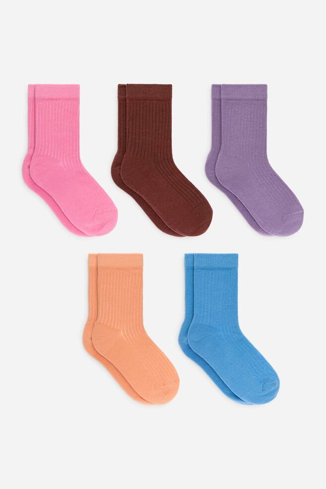 Ribgebreide sokken worden gepresenteerd als een set van vijf paar, elk met een effen kleur en een geribbelde textuur die zich uitstrekt van de boord tot aan de teen. De kleuren zijn roze, bruin, paars, oranje en blauw, waarbij alle sokken naar voren gericht zijn. - 1