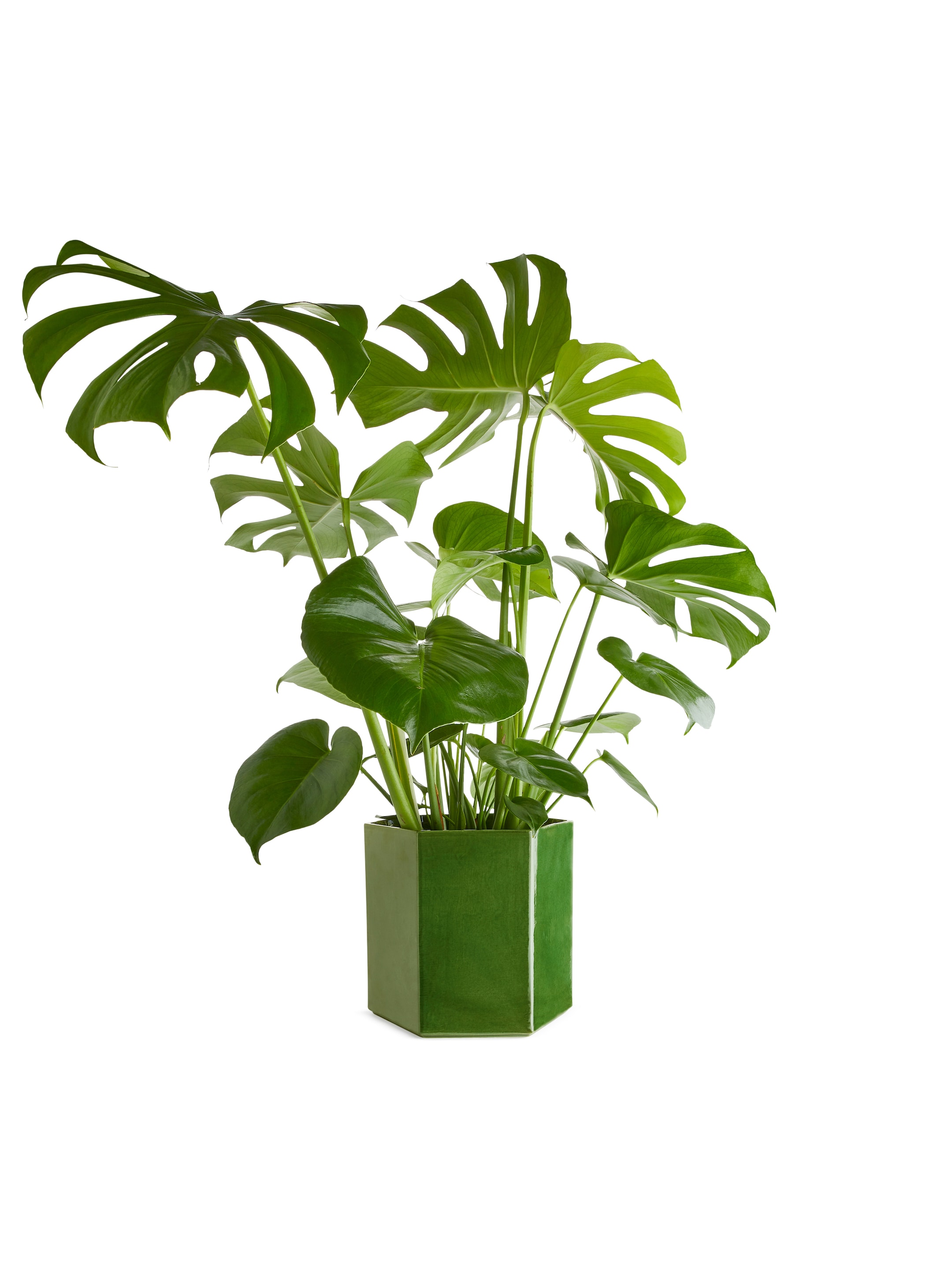 Zobacz większy obraz: Sześciokątna doniczka 22 cm - Zielony - HOME | H&M PL 2