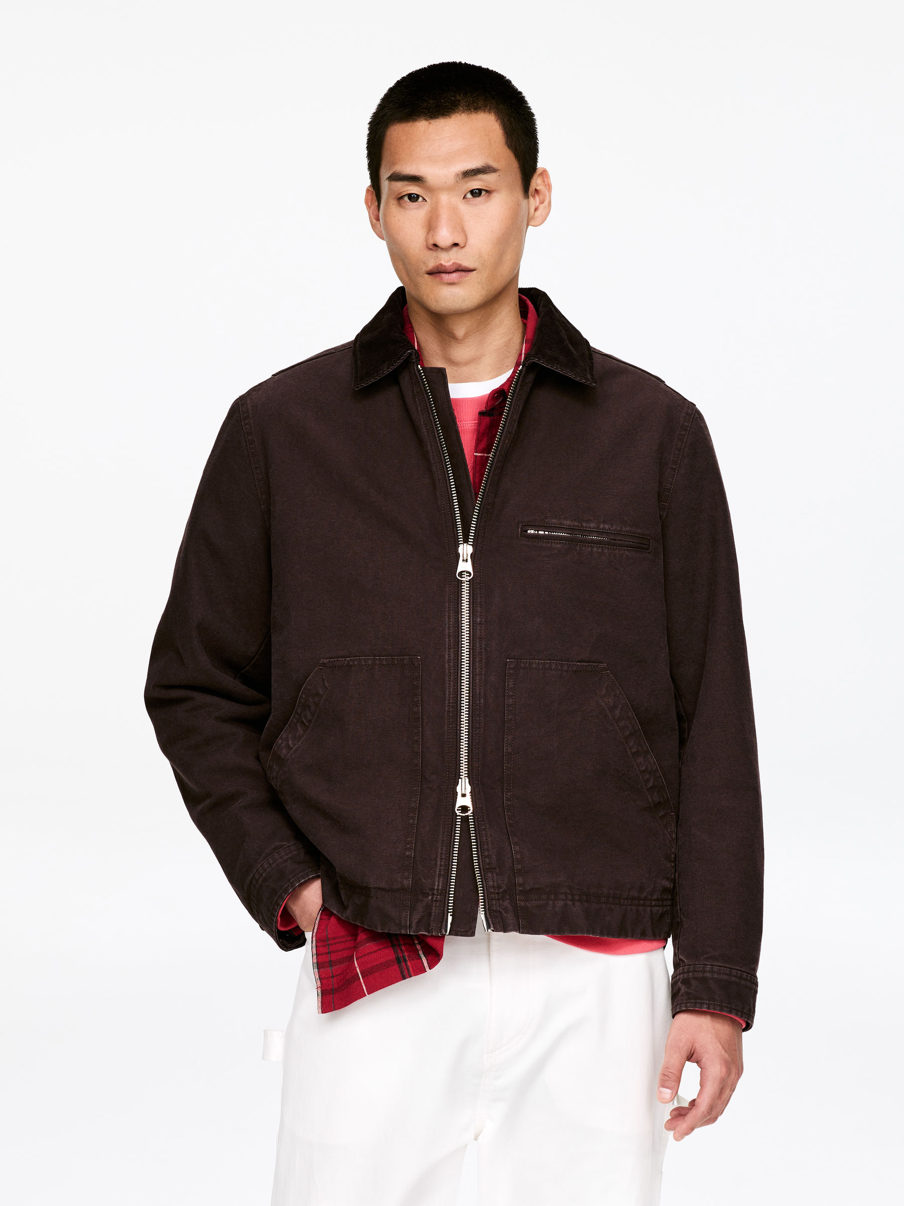 Cotton Canvas Jacket - Brown - Regular fit - Men - StillMedia/Lookbook - 10