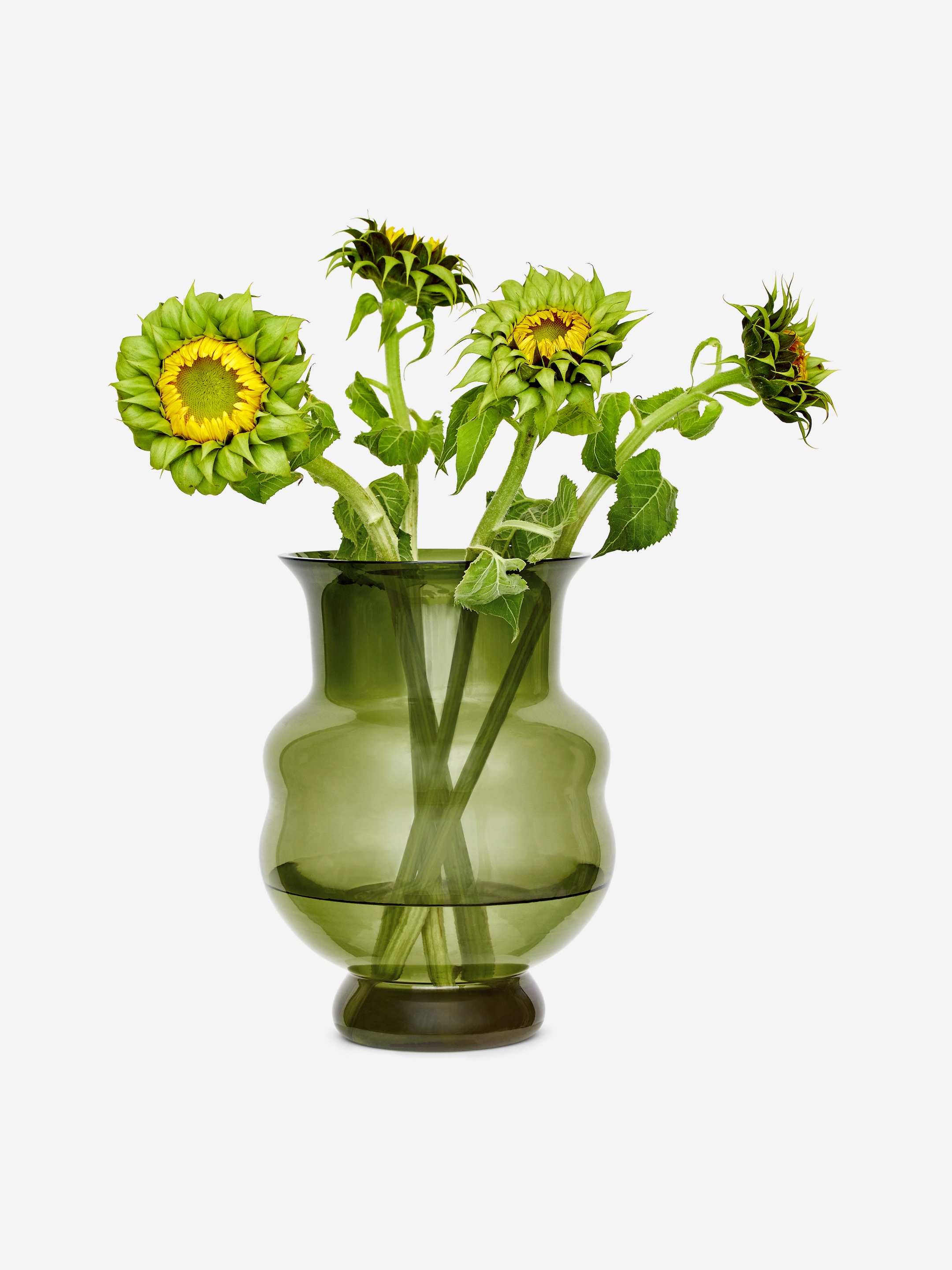 Glass Vase 27 cm-#657A64-17597