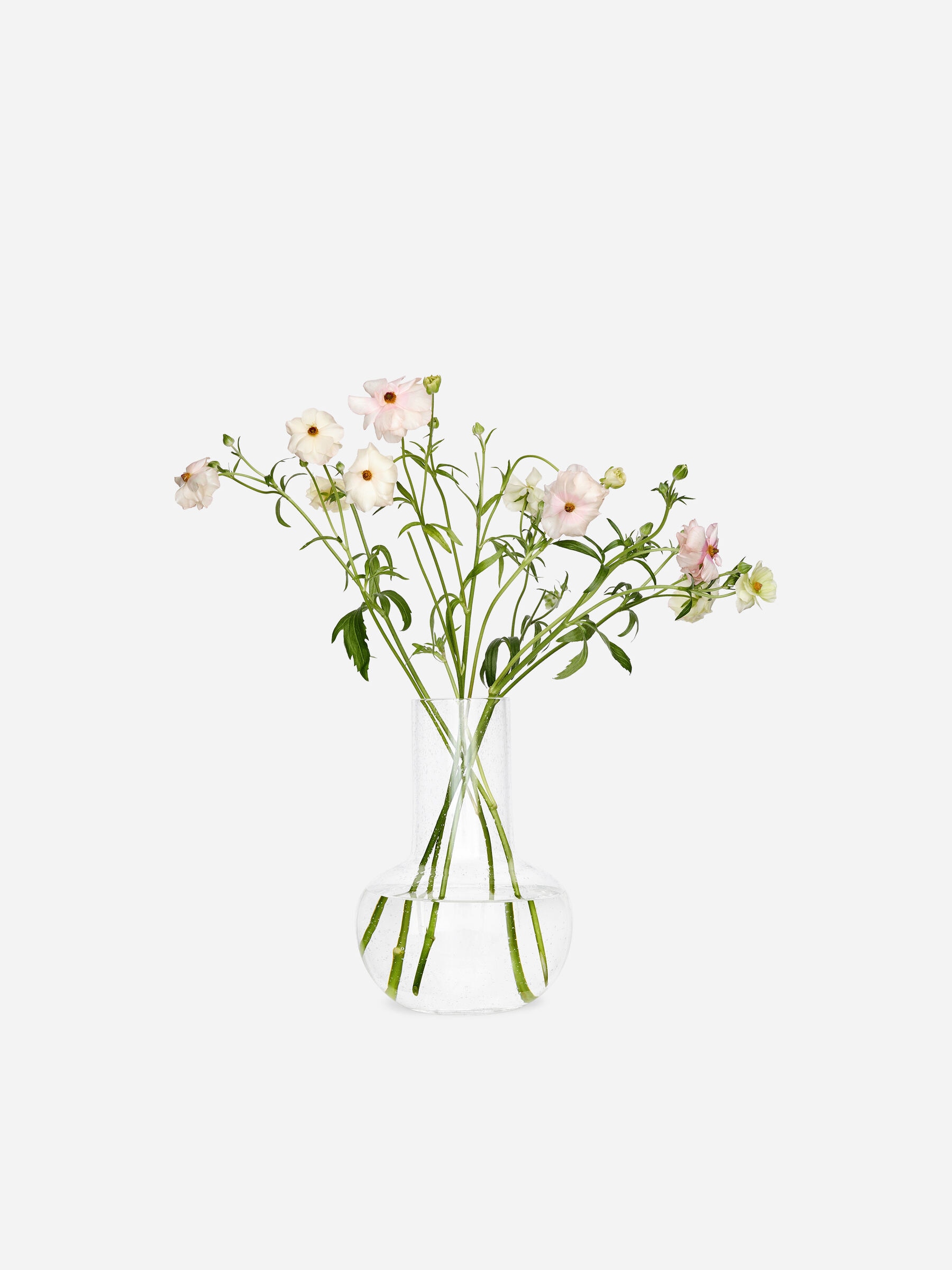 Glass Vase 28 cm - Transparent - Homeware - StillMedia/DescriptiveStillLife - 2
