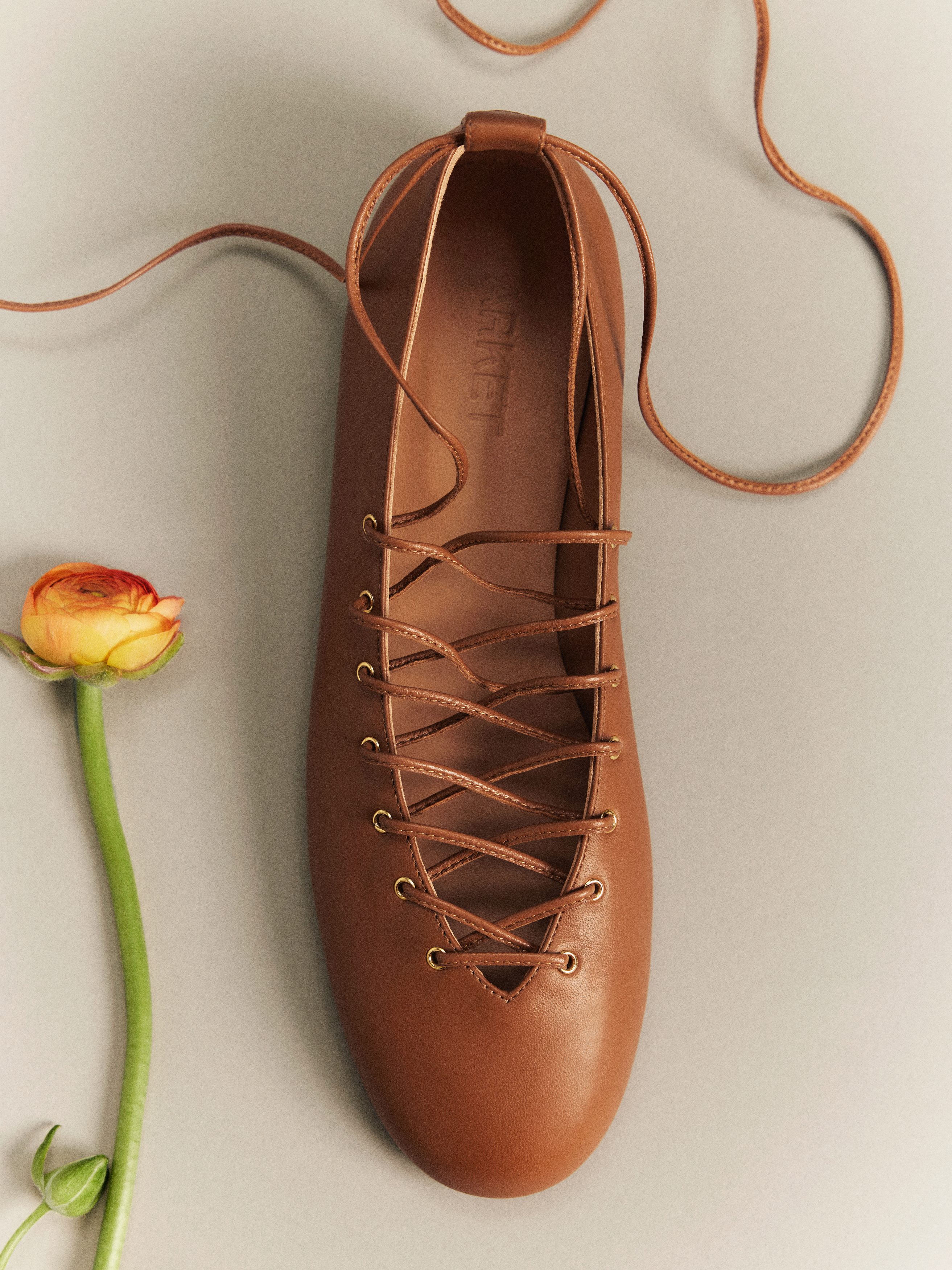 Lace Up Ballerinas - Cognac - Women - StillMedia/Lookbook - 1
