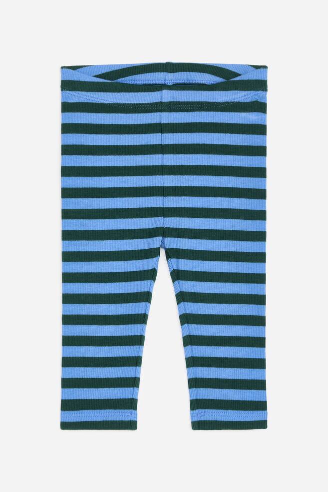 Ribbed Leggings - Blue/Green/Light Blue/Green/Pink/Orange/Pink/Oranges/Pink/Red/Rust/Blue Polkadot/Beige/Black - 1
