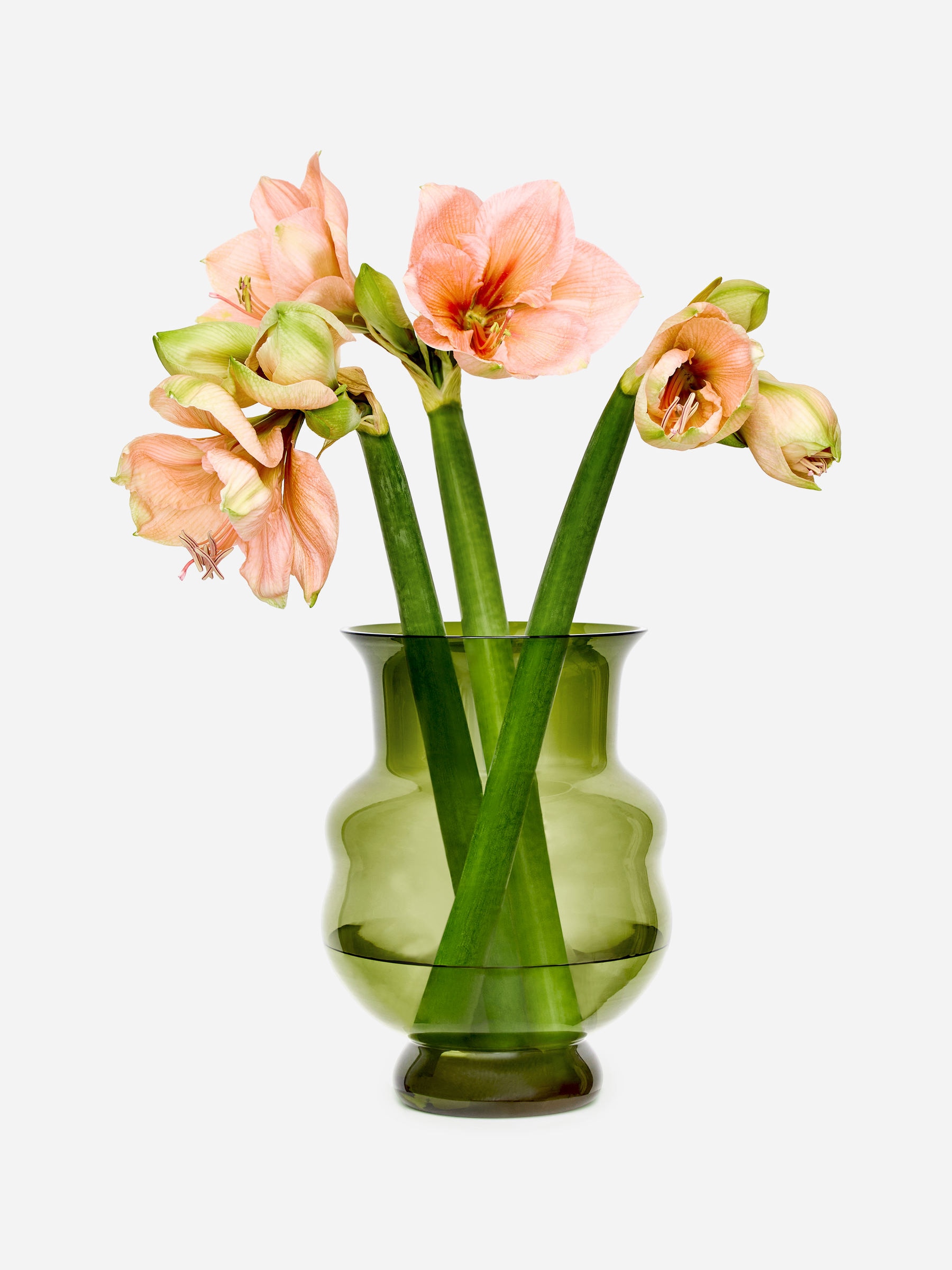 Glass Vase 27 cm-#657A64-17597