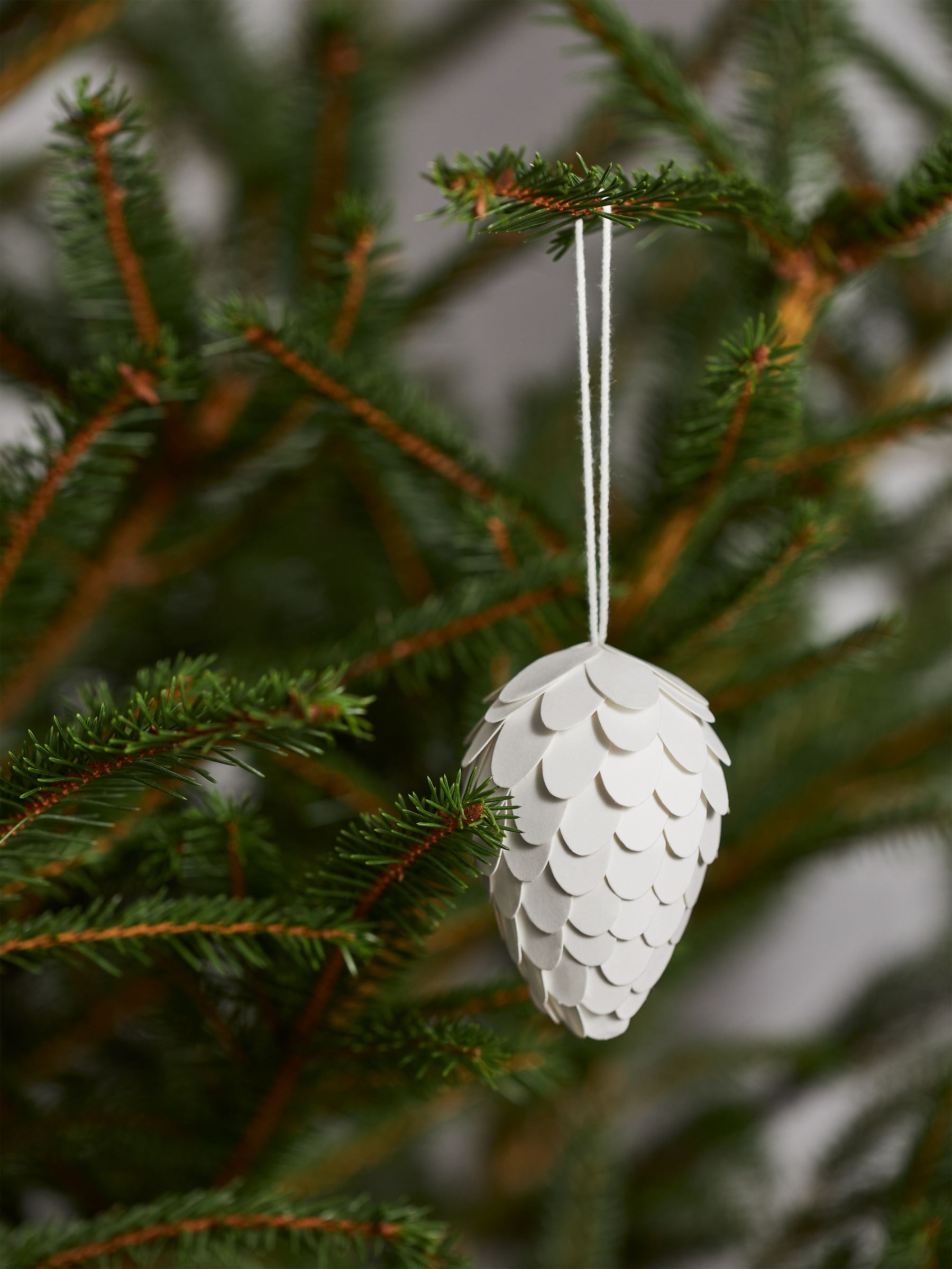 Papierzapfen, 2er-Set - Weiß - Haushaltswaren - StillMedia/DescriptiveStillLife - 2