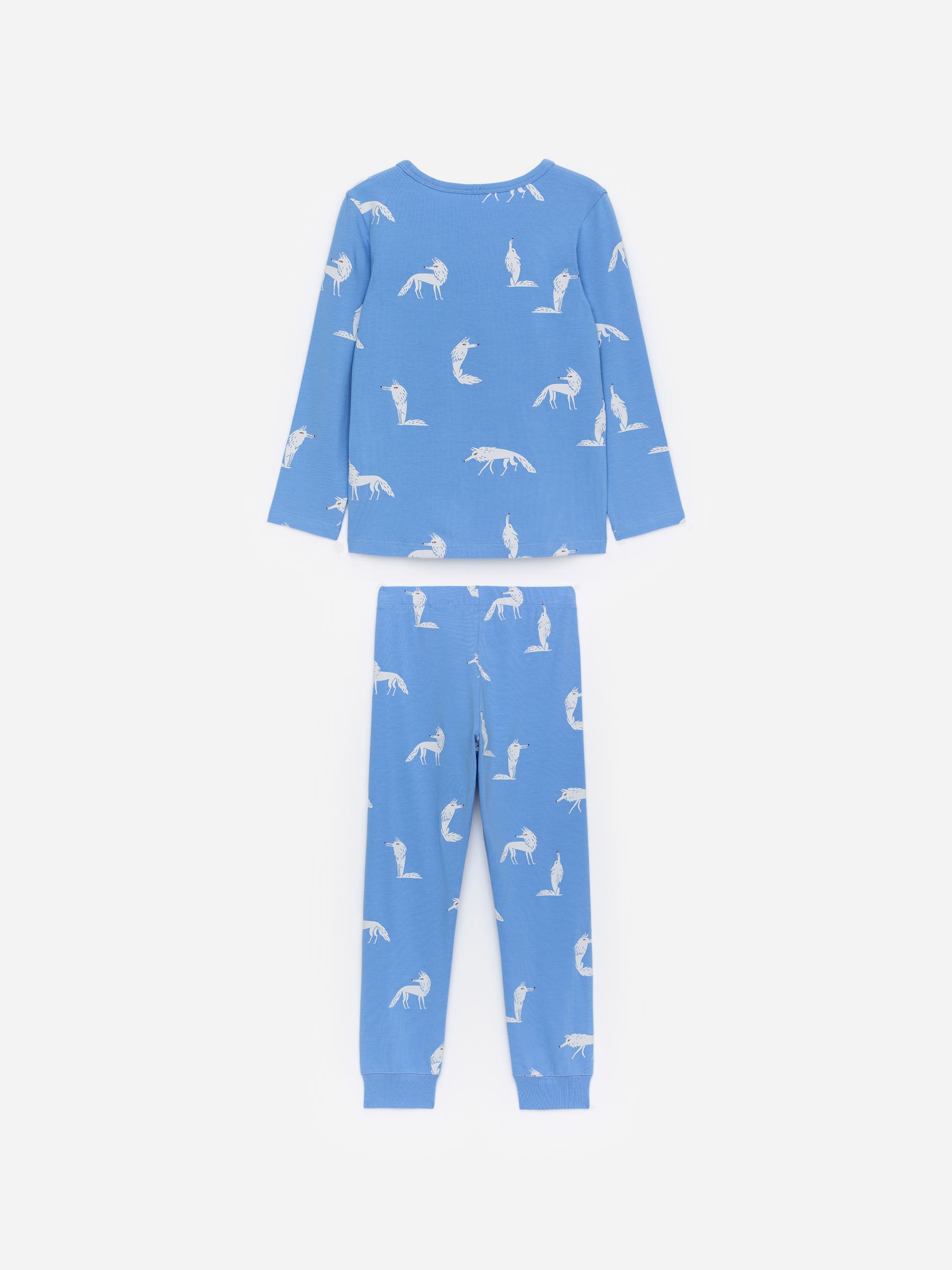 Conjunto de pijama de punto - Azul/lobos - Corte estándar - Children - StillMedia/DescriptiveStillLife - 6