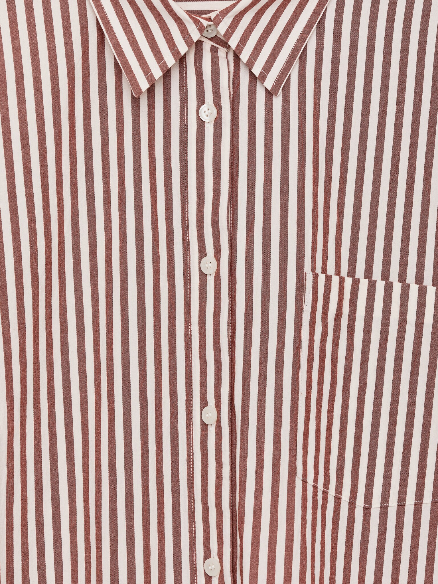 Vestido camisero de algodón - Marrón/blanco/Azul/blanco - 2