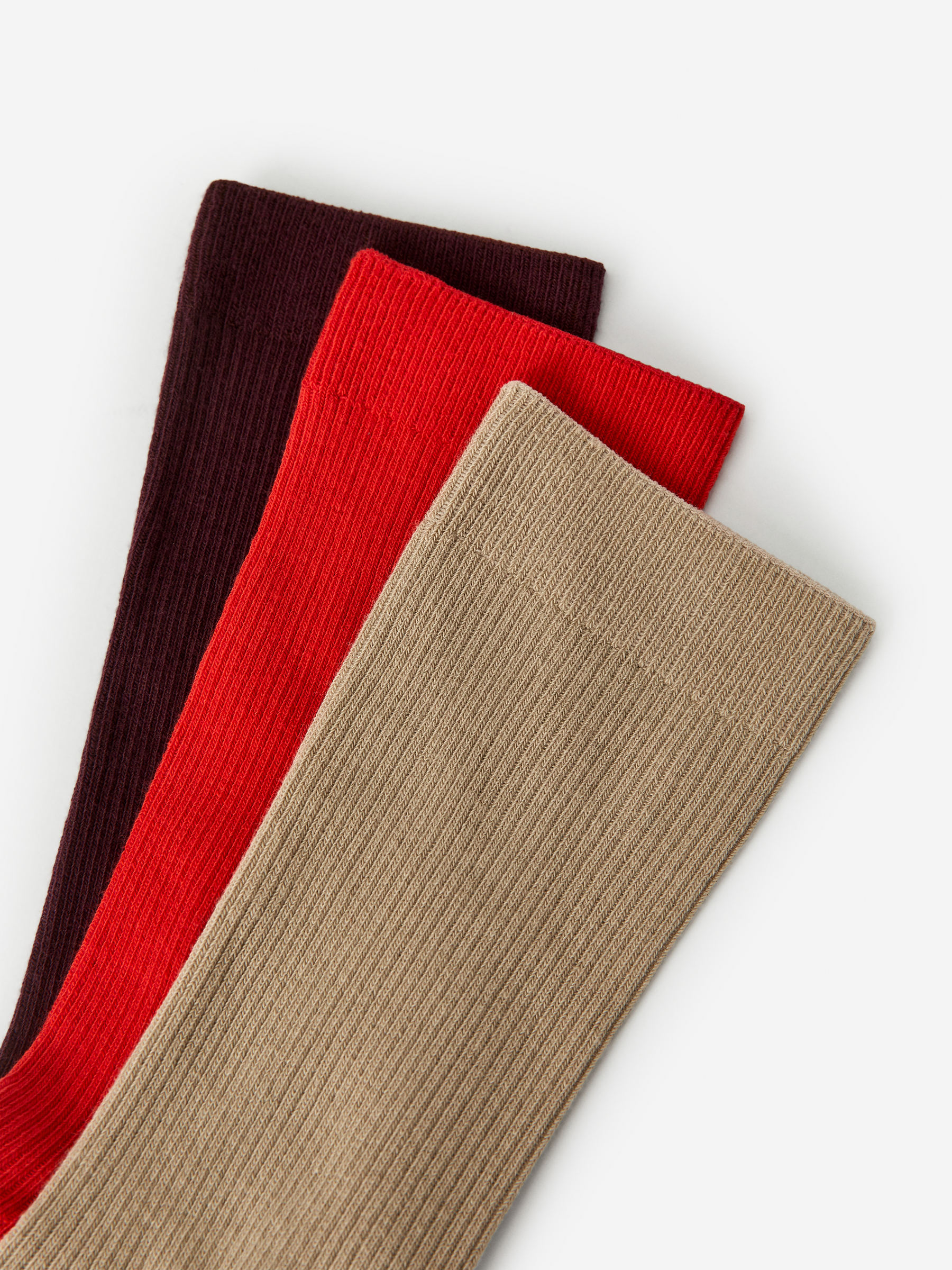 Cotton Rib Socks Set of 3 - Plum/Red/Beige - Women - StillMedia/DescriptiveDetail - 2