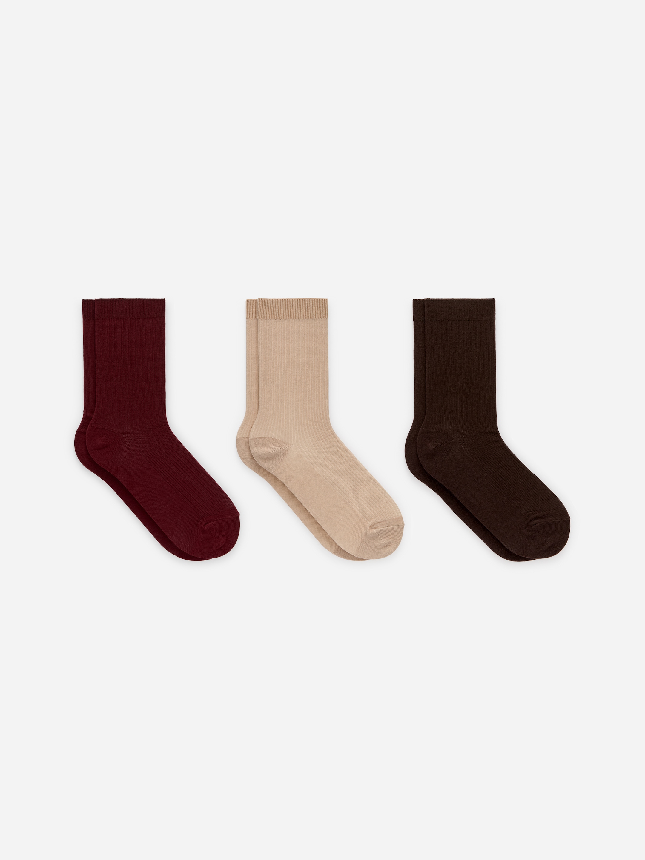 Cotton Rib Socks Set of 3 - Dark Red/Beige/Brown - Women - StillMedia/DescriptiveStillLife - 4