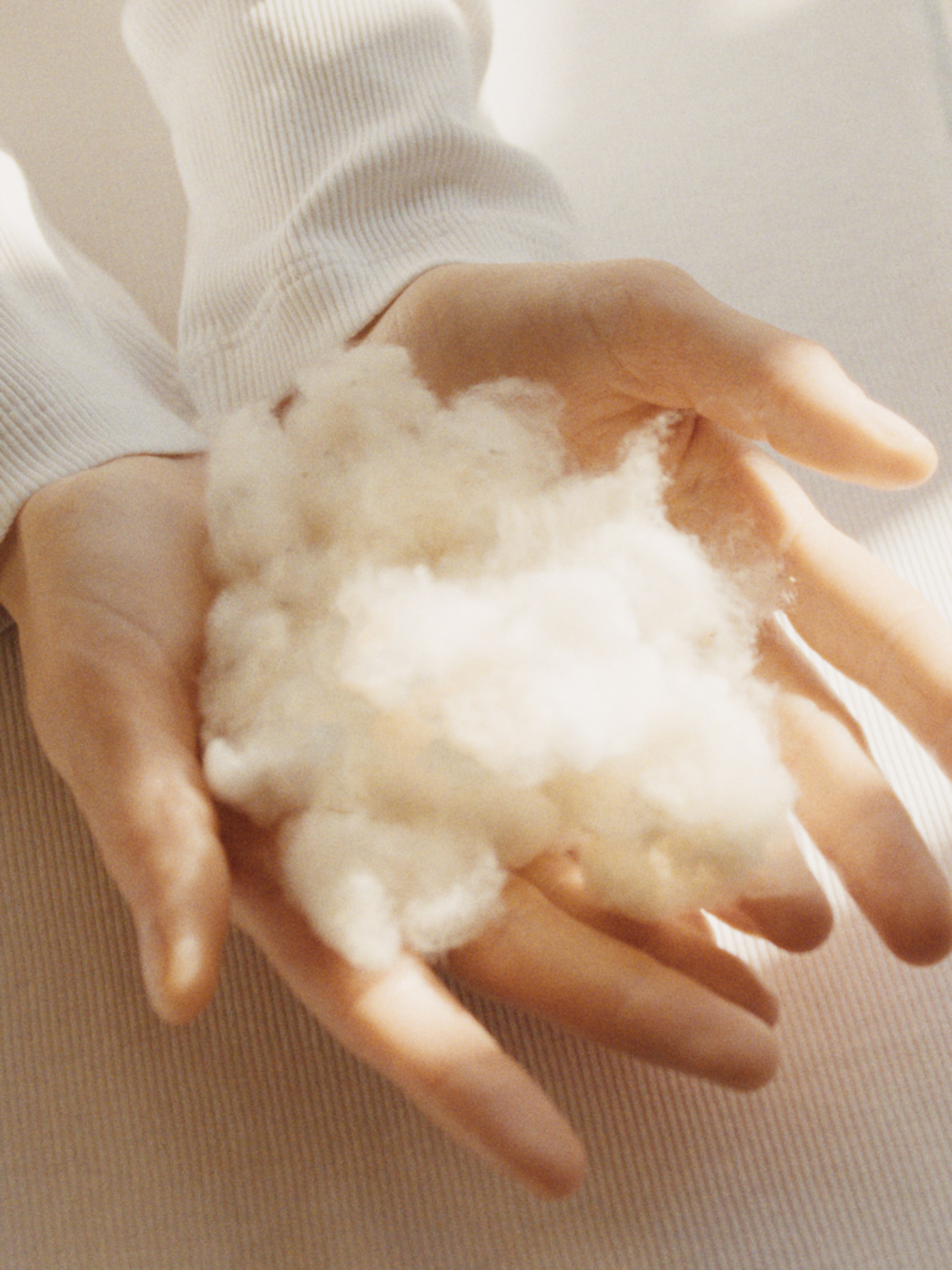 Hands gently holding a soft, fluffy white cotton material, with warm lighting casting shadows.