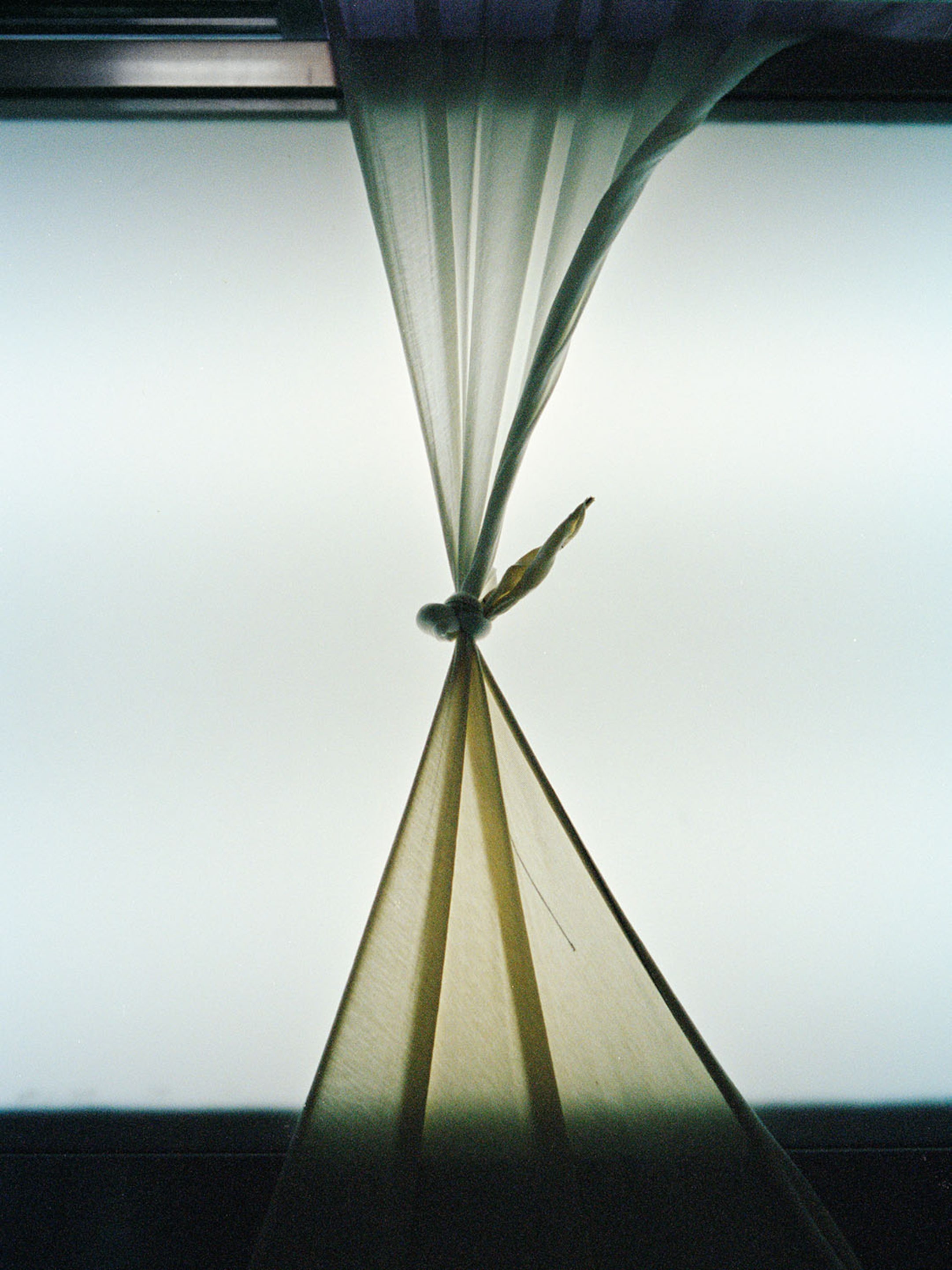 Sheer curtain tied in a knot against a frosted window, creating a soft, diffused light effect.