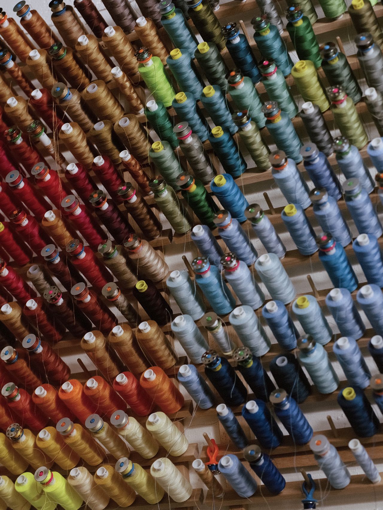 Josephine Philips and Sojo Image