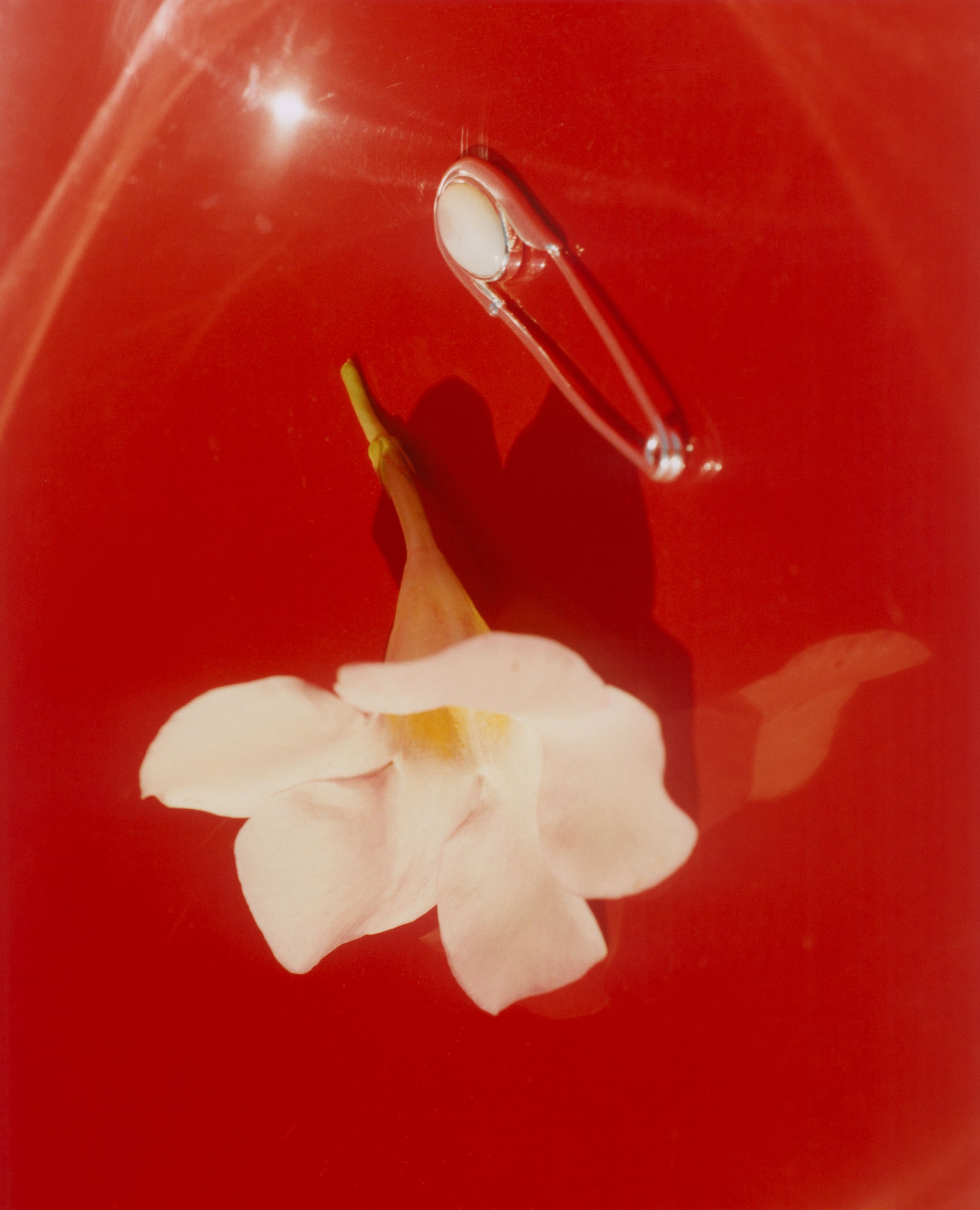 A white flower and a safety pin with a pearl-like detail lie on a glossy red surface, with light reflecting creating a soft glow.