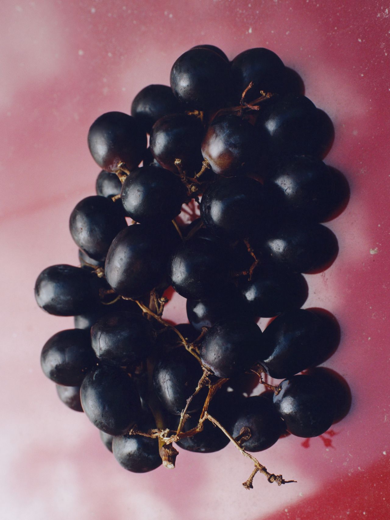 A cluster of dark purple grapes on a reflective pink surface, with visible stems and a glossy texture.