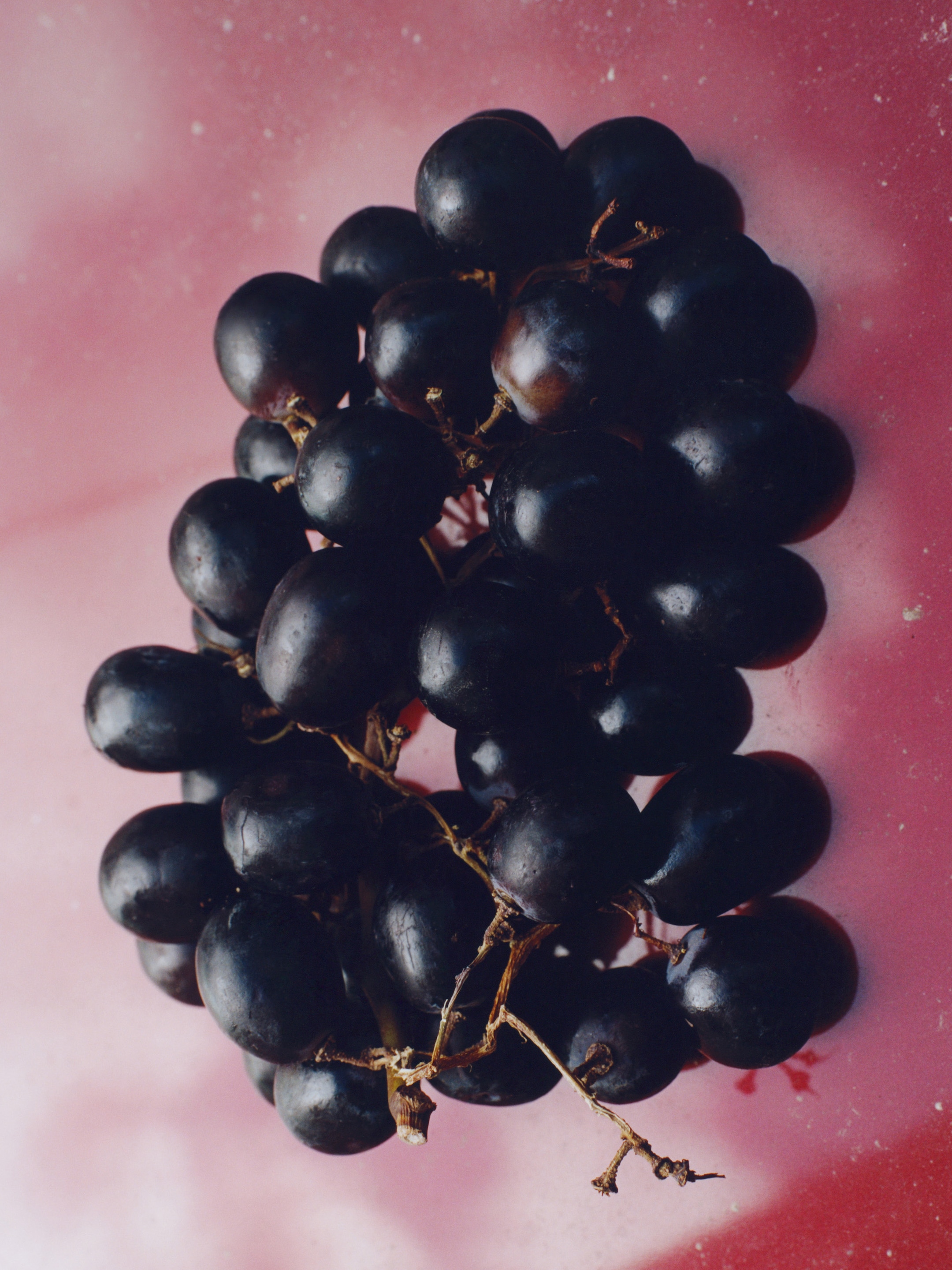 A cluster of dark purple grapes on a reflective pink surface, with visible stems and a glossy texture.
