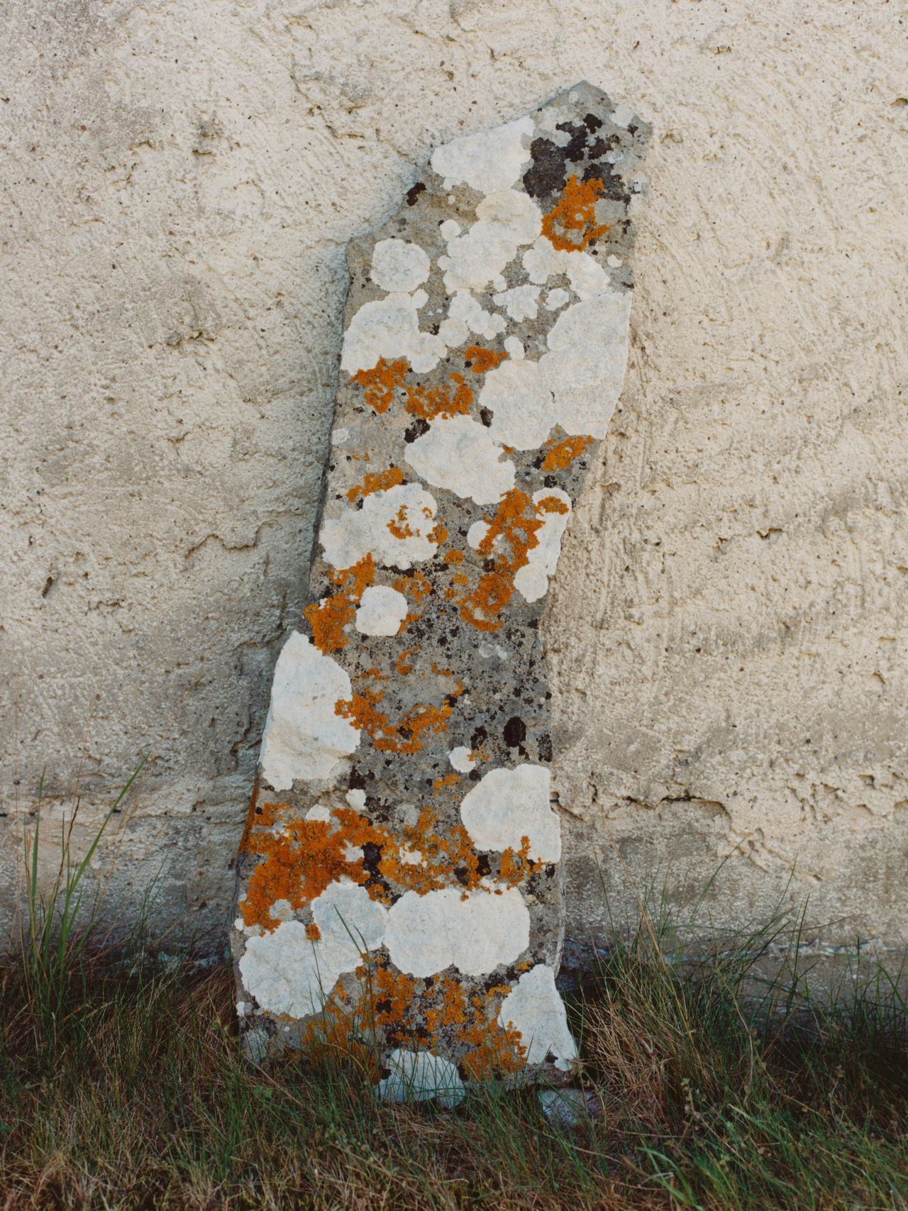 A weathered stone slab with orange and white lichen leans against a textured concrete wall, surrounded by grass.